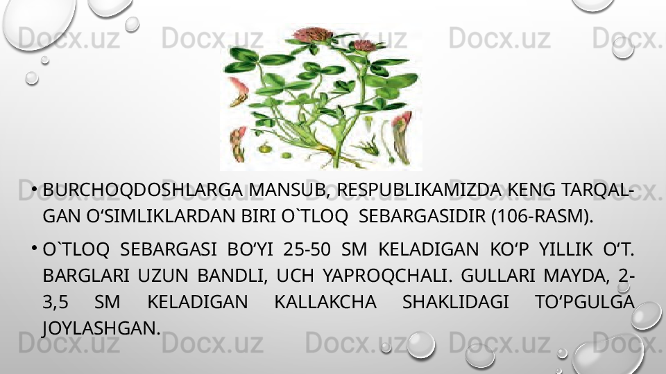 •
BURCHOQDOSHLARGA MANSUB, RESPUBLIKAMIZDA KENG TARQAL- 
GAN O‘SIMLIKLARDAN BIRI O`TLOQ  SEBARGASIDIR (106-RASM).
•
O`TLOQ  SEBARGASI  BO‘YI  25-50  SM  KELADIGAN  KO‘P  YILLIK  O‘T. 
BARGLARI  UZUN  BANDLI,  UCH  YAPROQCHALI.  GULLARI  MAYDA,  2-
3,5  SM  KELADIGAN  KALLAKCHA  SHAKLIDAGI  TO‘PGULGA 
JOYLASHGAN. 