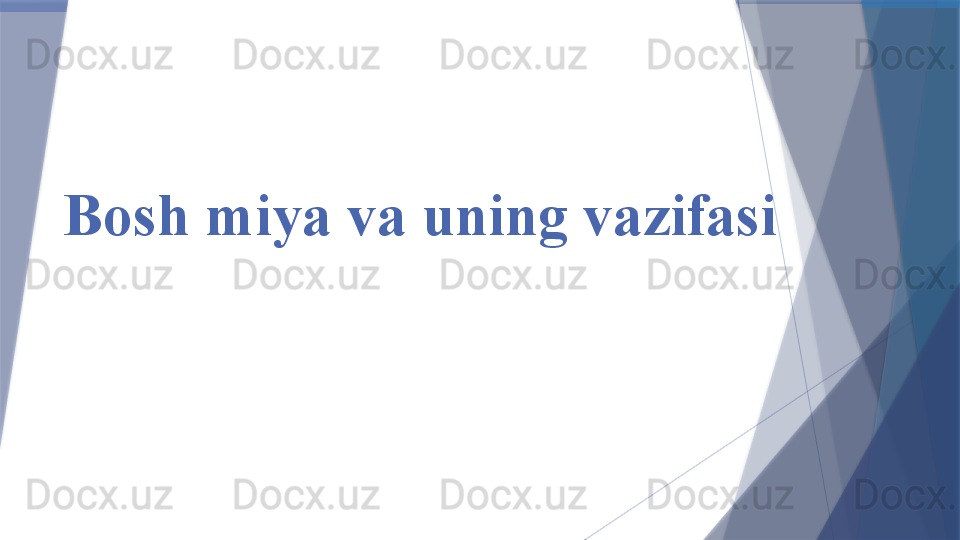 Bosh miya va uning vazifasi                   