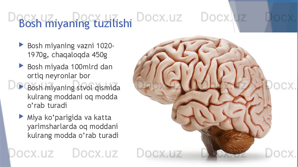 Bosh miyaning tuzilishi

Bosh miyaning vazni 1020-
1970g, chaqaloqda 450g

Bosh miyada 100mlrd dan 
ortiq neyronlar bor

Bosh miyaning stvol qismida 
kulrang moddani oq modda 
o’rab turadi

Miya ko’parigida va katta 
yarimsharlarda oq moddani 
kulrang modda o’rab turadi                   