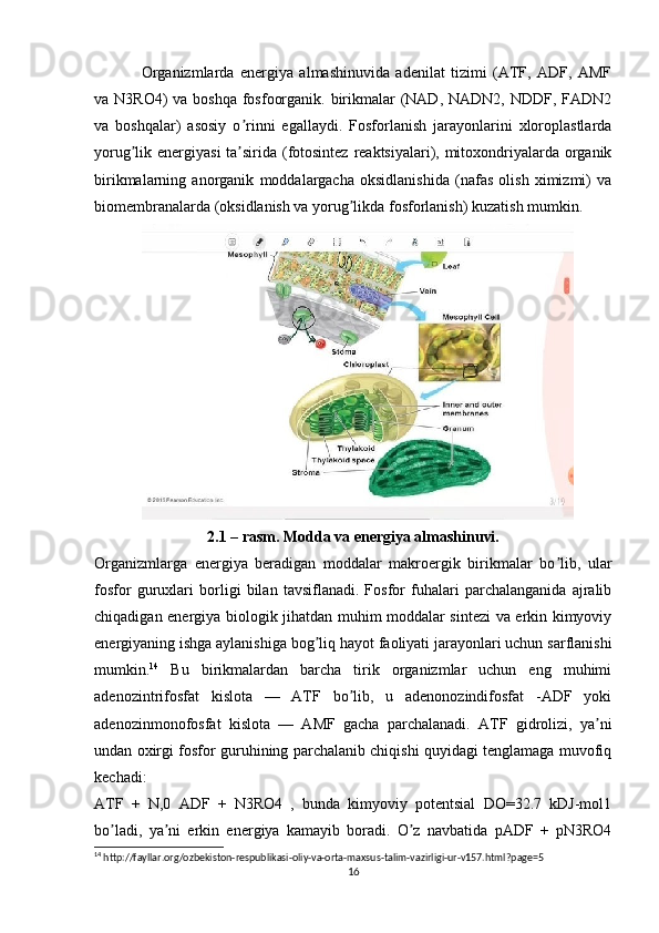 Organizmlarda   energiya   almashinuvida   adenilat   tizimi   (АTF,   АDF,   АMF
va N3RO4)  va boshqa fosfoorganik. birikmalar (NАD, NАDN2, NDDF, FАDN2
va   boshqalar)   asosiy   o rinni   egallaydi.   Fosforlanish   jarayonlarini   xloroplastlardaʼ
yorug lik energiyasi  ta sirida (fotosintez reaktsiyalari), mitoxondriyalarda organik	
ʼ ʼ
birikmalarning   anorganik   moddalargacha   oksidlanishida   (nafas   olish   ximizmi)   va
biomembranalarda (oksidlanish va yorug likda fosforlanish) kuzatish mumkin.	
ʼ
2.1 – rasm. Modda va energiya almashinuvi.
Organizmlarga   energiya   beradigan   moddalar   makroergik   birikmalar   bo lib,   ular	
ʼ
fosfor   guruxlari   borligi   bilan   tavsiflanadi.   Fosfor   fuhalari   parchalanganida   ajralib
chiqadigan energiya biologik jihatdan muhim moddalar sintezi  va erkin kimyoviy
energiyaning ishga aylanishiga bog liq hayot faoliyati jarayonlari uchun sarflanishi	
ʼ
mumkin. 14
  Bu   birikmalardan   barcha   tirik   organizmlar   uchun   eng   muhimi
adenozintrifosfat   kislota   —   АTF   bo lib,   u   adenonozindifosfat   -АDF   yoki	
ʼ
adenozinmonofosfat   kislota   —   АMF   gacha   parchalanadi.   АTF   gidrolizi,   ya ni	
ʼ
undan oxirgi fosfor guruhining parchalanib chiqishi quyidagi tenglamaga muvofiq
kechadi:
АTF   +   N,0   АDF   +   N3RO4   ,   bunda   kimyoviy   potentsial   DO=32.7   kDJ-mol1
bo ladi,   ya ni   erkin   energiya   kamayib   boradi.   O z   navbatida   pАDF   +   pN3RO4	
ʼ ʼ ʼ
14
 http://fayllar.org/ozbekiston-respublikasi-oliy-va-orta-maxsus-talim-vazirligi-ur-v157.html?page=5
16 