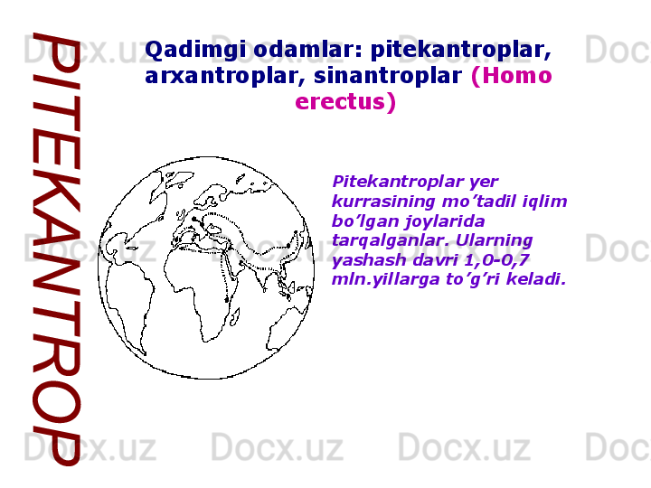 Pitekantroplar yer 
kurrasining mo’tadil iqlim 
bo’lgan joylarida 
tarqalganlar. Ularning 
yashash davri 1,0-0,7 
mln.yillarga to’g’ri keladi.Qadimgi odamlar: pitekantroplar, 
arxantroplar, sinantroplar  (Homo 
erectus)   