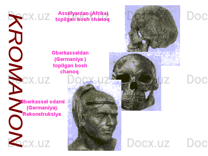 Oberkassel odami 
(Germaniya). 
Rekonstruksiya  Asselyardan (Afrika) 
topilgan bosh chanoq  
Oberkasseldan 
(Germaniya ) 
topilgan bosh 
chanoq   