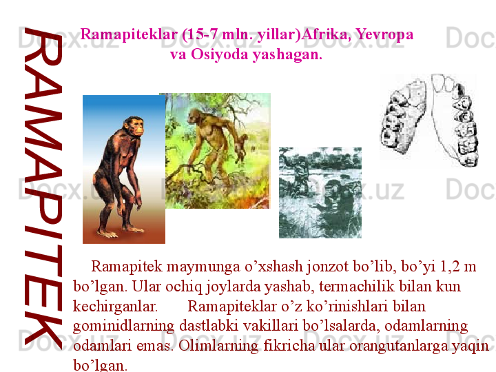 Ramapiteklar (15-7 mln. yillar)Afrika, Yevropa 
va Osiyoda yashagan.
       Ramapitek maymunga o’xshash jonzot bo’lib, bo’yi 1,2 m 
bo’lgan. Ular ochiq joylarda yashab, termachilik bilan kun 
kechirganlar.       Ramapiteklar o’z ko’rinishlari bilan 
gominidlarning dastlabki vakillari bo’lsalarda, odamlarning 
odamlari emas. Olimlarning fikricha ular orangutanlarga yaqin 
bo’lgan. 