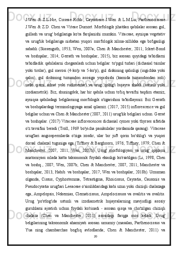 J.Wen   &   Z.L.Nie,   Cisseae   Rchb.,   Cayratieae   J.Wen   &   L.M.Lu,   Parthenocisseae
J.Wen & Z.D. Chen va Viteae Dumort. Morfologik jihatdan qabilalar asosan  gul,
gullash va urug' belgilariga ko'ra farqlanishi mumkin. Vitaceae, ayniqsa vegetativ
va   urug'lik   belgilariga   nisbatan   yuqori   morfologik   xilma-xillikka   ega   bo'lganligi
sababli   (Süssenguth,   1953;   Wen,   2007a;   Chen   &   Manchester,   2011;   Ickert-Bond
va   boshqalar,   2014;   Gerrath   va   boshqalar,   2015),   biz   asosan   quyidagi   ta'kidlarni
ta'kidladik. qabilalarni chegaralash uchun belgilar: to'pgul turlari (dichasial tsimlar
yoki   tirslar),  gul   merosi   (4-ko'p  va  5-ko'p),  gul   diskining  qalinligi   (ingichka   yoki
qalin),   gul   diskining   tuxumdon   asosiga   yopishishi   (kamida   tuxumdondan   xoli)
ustki   qismi,   adnat   yoki   rudimentar)   va   urug   'qobig'i   hujayra   shakli   (ustunli   yoki
izodiametrik). Biz, shuningdek, har bir qabila uchun to'liq tavsifni taqdim etamiz,
ayniqsa   qabiladagi   belgilarning   morfologik   o'zgarishini   ta'kidlaymiz.   Biz   Gerrath
va boshqalardagi terminologiyaga amal qilamiz. (2017, 2015) inflorescence va gul
belgilar uchun va Chen & Manchester (2007, 2011) urug'lik belgilari uchun. Gerrat
va boshqalar. (2017) Vitaceae inflorescences dichasial cymes yoki thyrses sifatida
o'z tavsifini beradi (Troll, 1969 bo'yicha panikulalar yordamida qarang). Vitaceae
urug'lari   angiospermlarda   o'ziga   xosdir,   ular   bir   juft   qorin   bo'shlig'i   va   yuqori
dorsal chalazal tuguniga ega (Tiffney & Barghoorn, 1976; Tiffney, 1979; Chen &
Manchester,   2007,   2011;   Wen,   2007b).   Urug'   morfologiyasi   va   urug'   qoplami
anatomiyasi oilada katta taksonomik foydali ekanligi ko'rsatilgan (Li, 1998; Chen
va   boshq.,   2007;   Wen,   2007b;   Chen   &   Manchester,   2007,   2011;   Manchester   va
boshqalar, 2013; Habib. va boshqalar, 2017; Wen va boshqalar, 2018b). Umuman
olganda,   Cissus,   Cyphostemma,   Tetrastigma,   Rhoicissus,   Cayratia,   Causonis   va
Pseudocyratia urug'lari Leeaceae o'simliklaridagi kabi uzun yoki chiziqli chalazaga
ega, Ampelopsis, Nekemias, Clematicissus, Ampelocissuss va ovalitis va ovalitis.
Urug   'po'stlog'ida   ustunli   va   izodiametrik   hujayralarning   mavjudligi   asosiy
guruhlarni   ajratish   uchun   foydali   ko'rinadi   -   asosan   qisqa   va   cho'zilgan   chiziqli
chalaza   (Chen   va   Manchester,   2011)   asosidagi   farqga   mos   keladi.   Urug'
belgilarining   taksonomik   ahamiyati   asosan   umumiy   (masalan,   Parthenocissus   va
Yua   ning   chambarchas   bog'liq   avlodlarida;   Chen   &   Manchester,   2011)   va
20 