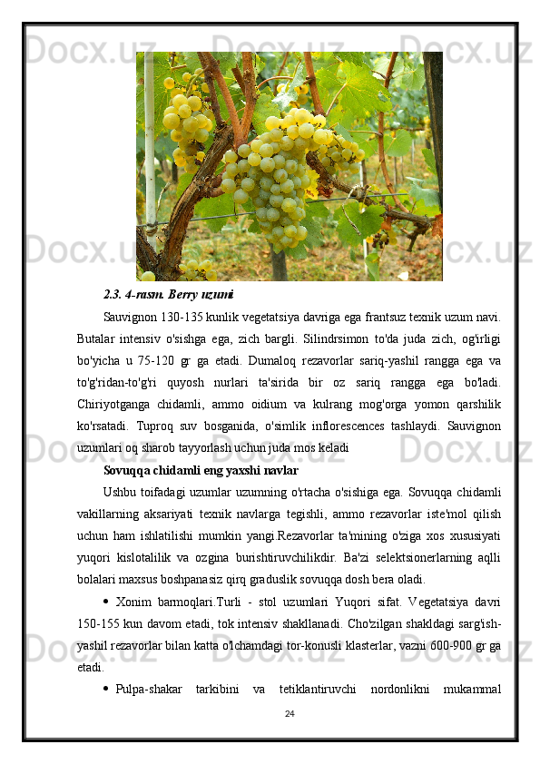 2.3. 4-rasm. Berry uzumi
Sauvignon 130-135 kunlik vegetatsiya davriga ega frantsuz texnik uzum navi.
Butalar   intensiv   o'sishga   ega,   zich   bargli.   Silindrsimon   to'da   juda   zich,   og'irligi
bo'yicha   u   75-120   gr   ga   etadi.   Dumaloq   rezavorlar   sariq-yashil   rangga   ega   va
to'g'ridan-to'g'ri   quyosh   nurlari   ta'sirida   bir   oz   sariq   rangga   ega   bo'ladi.
Chiriyotganga   chidamli,   ammo   oidium   va   kulrang   mog'orga   yomon   qarshilik
ko'rsatadi.   Tuproq   suv   bosganida,   o'simlik   inflorescences   tashlaydi.   Sauvignon
uzumlari oq sharob tayyorlash uchun juda mos keladi
Sovuqqa chidamli eng yaxshi navlar
Ushbu toifadagi  uzumlar uzumning o'rtacha o'sishiga ega. Sovuqqa chidamli
vakillarning   aksariyati   texnik   navlarga   tegishli,   ammo   rezavorlar   iste'mol   qilish
uchun   ham   ishlatilishi   mumkin   yangi.Rezavorlar   ta'mining   o'ziga   xos   xususiyati
yuqori   kislotalilik   va   ozgina   burishtiruvchilikdir.   Ba'zi   selektsionerlarning   aqlli
bolalari maxsus boshpanasiz qirq graduslik sovuqqa dosh bera oladi.
 Xonim   barmoqlari.Turli   -   stol   uzumlari   Yuqori   sifat.   Vegetatsiya   davri
150-155 kun davom etadi, tok intensiv shakllanadi. Cho'zilgan shakldagi sarg'ish-
yashil rezavorlar bilan katta o'lchamdagi tor-konusli klasterlar, vazni 600-900 gr ga
etadi.
 Pulpa-shakar   tarkibini   va   tetiklantiruvchi   nordonlikni   mukammal
24 