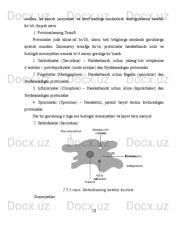 usullari,   ko‘payish   jarayonlari   va   atrof-muhitga   moslashish   strategiyalarini   batafsil
ko‘rib chiqish zarur.  
 1. Protozoalarning Tasnifi  
Protozoalar   juda   xilma-xil   bo‘lib,   ularni   turli   belgilarga   asoslanib   guruhlarga
ajratish   mumkin.   Zamonaviy   tasnifga   ko‘ra,   protozoalar   harakatlanish   usuli   va
biologik xususiyatlari asosida to‘rt asosiy guruhga bo‘linadi:  
1.   Sarkodinalar   (Sarcodina)   –   Harakatlanish   uchun   yalang‘och   sitoplazma
o‘sintilari – psevdopodiyalar (soxta oyoqlar) dan foydalanadigan protozoalar.  
2.   Flagellatlar   (Mastigophora)   –   Harakatlanish   uchun   flagella   (qamchilar)   dan
foydalanadigan protozoalar.  
3.   Infuzoriyalar   (Ciliophora)   –   Harakatlanish   uchun   siliya   (kiprikchalar)   dan
foydalanadigan protozoalar.  
4.   Sporizoalar   (Sporozoa)   –   Harakatsiz,   parazit   hayot   tarzini   kechiradigan
protozoalar. 
Har bir guruhning o‘ziga xos biologik xususiyatlari va hayot tarzi mavjud.  
 2. Sarkodinalar (Sarcodina)
2.3.1-rasm. Sarkodinaning tarkibiy tuzilishi
 Xususiyatlari:  
18 