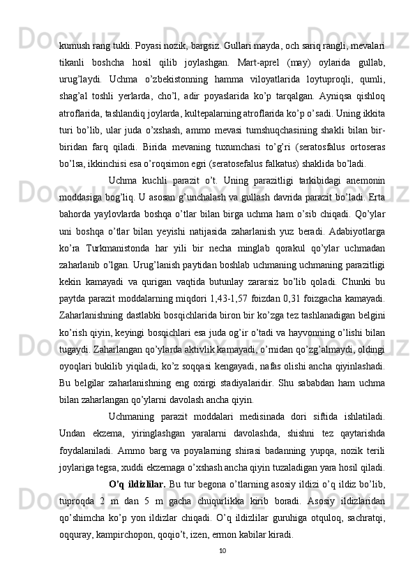 kumush rang tukli. Poyasi nozik, bargsiz. Gullari mayda, och sariq rangli, mevalari
tikanli   boshcha   hosil   qilib   joylashgan.   Mart-aprel   (may)   oylarida   gullab,
urug’laydi.   Uchma   o’zbekistonning   hamma   viloyatlarida   loytuproqli,   qumli,
shag’al   toshli   yerlarda,   cho’l,   adir   poyaslarida   ko’p   tarqalgan.   Ayniqsa   qishloq
atroflarida, tashlandiq joylarda, kultepalarning atroflarida ko’p o’sadi. Uning ikkita
turi   bo’lib,   ular   juda   o’xshash,   ammo   mevasi   tumshuqchasining   shakli   bilan   bir-
biridan   farq   qiladi.   Birida   mevaning   tuxumchasi   to’g’ri   (seratosfalus   ortoseras
bo’lsa, ikkinchisi esa o’roqsimon egri (seratosefalus falkatus) shaklida bo’ladi.
Uchma   kuchli   parazit   o’t.   Uning   parazitligi   tarkibidagi   anemonin
moddasiga bog’liq. U asosan  g’unchalash va gullash davrida parazit bo’ladi. Erta
bahorda   yaylovlarda   boshqa   o’tlar   bilan   birga   uchma   ham   o’sib   chiqadi.   Qo’ylar
uni   boshqa   o’tlar   bilan   yeyishi   natijasida   zaharlanish   yuz   beradi.   Adabiyotlarga
ko’ra   Turkmanistonda   har   yili   bir   necha   minglab   qorakul   qo’ylar   uchmadan
zaharlanib o’lgan. Urug’lanish paytidan boshlab uchmaning uchmaning parazitligi
kekin   kamayadi   va   qurigan   vaqtida   butunlay   zararsiz   bo’lib   qoladi.   Chunki   bu
paytda parazit moddalarning miqdori 1,43-1,57 foizdan 0,31 foizgacha kamayadi.
Zaharlanishning dastlabki bosqichlarida biron bir ko’zga tez tashlanadigan belgini
ko’rish qiyin, keyingi bosqichlari esa juda og’ir o’tadi va hayvonning o’lishi bilan
tugaydi. Zaharlangan qo’ylarda aktivlik kamayadi, o’rnidan qo’zg’almaydi, oldingi
oyoqlari bukilib yiqiladi, ko’z soqqasi kengayadi, nafas olishi ancha qiyinlashadi.
Bu   belgilar   zaharlanishning   eng   oxirgi   stadiyalaridir.   Shu   sababdan   ham   uchma
bilan zaharlangan qo’ylarni davolash ancha qiyin.
Uchmaning   parazit   moddalari   medisinada   dori   siftida   ishlatiladi.
Undan   ekzema,   yiringlashgan   yaralarni   davolashda,   shishni   tez   qaytarishda
foydalaniladi.   Ammo   barg   va   poyalarning   shirasi   badanning   yupqa,   nozik   terili
joylariga tegsa, xuddi ekzemaga o’xshash ancha qiyin tuzaladigan yara hosil qiladi.
O’q ildizlilar.   Bu tur begona o’tlarning asosiy ildizi  o’q ildiz bo’lib,
tuproqda   2   m   dan   5   m   gacha   chuqurlikka   kirib   boradi.   Asosiy   ildizlaridan
qo’shimcha   ko’p   yon   ildizlar   chiqadi.   O’q   ildizlilar   guruhiga   otquloq,   sachratqi,
oqquray, kampirchopon, qoqio’t, izen, ermon kabilar kiradi. 
10 