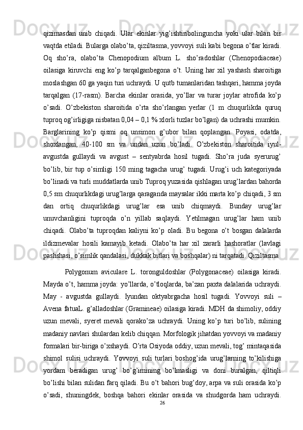 qizimasdan   unib   chiqadi.   Ular   ekinlar   yig’ishtiribolinguncha   yoki   ular   bilan   bir
vaqtda etiladi. Bularga olabo’ta, qiziltasma, yovvoyi suli kabi begona o’tlar kiradi.
Oq   sho’ra,   olabo’ta   Chenopodium   album   L.   sho’radoshlar   (Chenopodiaceae)
oilasiga   kiruvchi   eng   ko’p   tarqalganbegona   o’t.   Uning   har   xil   yashash   sharoitiga
moslashgan 60 ga yaqin turi uchraydi. U qutb tumanlaridan tashqari, hamma joyda
tarqalgan   (17-rasm).   Barcha   ekinlar   orasida,   yo’llar   va   turar   joylar   atrofida   ko’p
o’sadi.   O’zbekiston   sharoitida   o’rta   sho’rlangan   yerlar   (1   m   chuqurlikda   quruq
tuproq og’irligiga nisbatan 0,04 – 0,1 % xlorli tuzlar bo’lgan) da uchrashi mumkin.
Barglarining   ko’p   qismi   oq   unsimon   g’ubor   bilan   qoplangan.   Poyasi,   odatda,
shoxlangan,   40-100   sm   va   undan   uzun   bo’ladi.   O’zbekiston   sharoitida   iyul-
avgustda   gullaydi   va   avgust   –   sentyabrda   hosil   tugadi.   Sho’ra   juda   syerurug’
bo’lib,   bir   tup  o’simligi   150   ming  tagacha   urug’   tugadi.  Urug’i   uch   kategoriyada
bo’linadi va turli muddatlarda unib Tuproq yuzasida qishlagan urug’lardan bahorda
0,5 sm chuqurlikdagi urug’larga qaraganda maysalar ikki marta ko’p chiqadi, 3 sm
dan   ortiq   chuqurlikdagi   urug’lar   esa   unib   chiqmaydi.   Bunday   urug’lar
unuvchanligini   tuproqda   o’n   yillab   saqlaydi.   Yetilmagan   urug’lar   ham   unib
chiqadi.   Olabo’ta   tuproqdan   kaliyni   ko’p   oladi.   Bu   begona   o’t   bosgan   dalalarda
ildizmevalar   hosili   kamayib   ketadi.   Olabo’ta   har   xil   zararli   hashoratlar   (lavlagi
pashshasi, o’simlik qandalasi, dukkak bitlari va boshqalar) ni tarqatadi. Qiziltasma 
Polygonum   aviculare   L.   toronguldoshlar   (Polygonaceae)   oilasiga   kiradi.
Mayda o’t, hamma joyda: yo’llarda, o’tloqlarda, ba’zan paxta dalalarida uchraydi.
May   -   avgustda   gullaydi.   Iyundan   oktyabrgacha   hosil   tugadi.   Yovvoyi   suli   –
Avena fatuaL. g’alladoshlar (Gramineae) oilasiga kiradi. MDH da shimoliy, oddiy
uzun   mevali,   syeret   mevali   qorako’za   uchraydi.   Uning   ko’p   turi   bo’lib,   sulining
madaniy navlari shulardan kelib chiqqan. Morfologik jihatdan yovvoyi va madaniy
formalari bir-biriga o’xshaydi. O’rta Osiyoda oddiy, uzun mevali, tog’ mintaqasida
shimol   sulisi   uchraydi.   Yovvoyi   suli   turlari   boshog’ida   urug’larning   to’kilishiga
yordam   beradigan   urug’   bo’g’imining   bo’lmasligi   va   doni   buralgan,   qiltiqli
bo’lishi bilan sulidan farq qiladi. Bu o’t bahori bug’doy, arpa va suli orasida ko’p
o’sadi,   shuningdek,   boshqa   bahori   ekinlar   orasida   va   shudgorda   ham   uchraydi.
26 