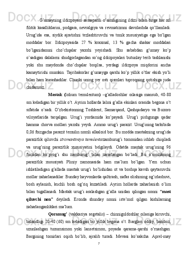G’umayning   ildizpoyasi   sassaparili   o’simligining   ildizi   bilan   birga   har   xil
filitik   kasalliklarini,   podgara,   nevralgiya   va   revmatizmni   davolashda   qo’llaniladi.
Urug’ida   esa,   siydik   ajratishni   tezlashtiruvchi   va   tonik   xususiyatiga   ega   bo’lgan
moddalar   bor.   Ildizpoyasida   27   %   kraxmal,   13   %   gacha   shakar   moddalari
bo’lganidanuni   cho’chqalar   yaxshi   yeyishadi.   Shu   sababdan   g’umay   ko’p
o’sadigan dalalarni shudgorlagandan so’ng ildizpoyalari butunlay terib tashlanishi
yoki   shu   maydonda   cho’chqalar   boqilsa,   yerdagi   ildizpoya   miqdorini   ancha
kamaytirishi mumkin. Tajribakorlar g’umayga qarshi ko’p yillik o’tlar ekish yo’li
bilan ham  kurashadilar. Chunki  uning yer  osti  qismlari tuproqning qotishiga juda
chidamsiz.
Mastak   ( lolium   temulentum )   – g’alladoshlar   oilasiga   mansub,   40-80
sm keladigan bir yillik o’t. Ayrim hollarda lalmi g’alla ekinlari orasida begona o’t
sifatida   o’sadi.   O’zbekistonning   Toshkent,   Samarqand,   Qashqadaryo   va   Buxoro
viloyatlarida   tarqalgan.   Urug’i   yordamida   ko’payadi.   Urug’i   pishgunga   qadar
hamma   chorva   mollari   yaxshi   yeydi.   Ammo   urug’i   parazit.   Urug’ining   tarkibida
0,06 foizgacha parazit temulin nomli alkaloid bor. Bu modda mastakning urug’ida
parazitlik qiluvchi   stromantiniya temulenta zamburug’i  tomonidan ishlab chiqiladi
va   urug’ning   parazitlik   xususiyatini   belgilaydi.   Odatda   mastak   urug’ining   96
foizidan   ko’prog’i   shu   zamburug’   bilan   zararlangan   bo’ladi.   Bu   o’simlikning
parazitlik   xususiyati   Pliniy   zamonasida   ham   ma’lum   bo’lgan.   Yem   uchun
ishlatiladigan   g’allada   mastak   urug’i   bo’lishidan   ot   va   boshqa   kavsh   qaytaruvchi
mollar zaharlanadilar. Bunday hayvonlarda qaltirash, nafas olishining og’irlashuvi,
bosh   aylanish,   kuchli   bosh   og’riq   kuzatiladi.   Ayrim   hollarda   zaharlanish   o’lim
bilan   tugallanadi.   Mastak   urug’i   aralashgan   g’alla   unidan   qilingan   nonni   “mast
qiluvchi   non”   deyiladi.   Eronda   shunday   nonni   iste’mol   qilgan   kishilarning
zaharlanganliklari ma’lum.
Qoramug’   (vakkariya segetalis) – chinniguldoshlar oilasiga kiruvchi,
balandligi 20-40 (60) sm keladigan bir yillik begona o’t. Barglari  oddiy, bandsiz,
uzunlashgan   tuxumsimon   yoki   lansetsimon,   poyada   qarama-qarshi   o’rnashgan.
Bargining   tomirlari   oqish   bo’lib,   ajralib   turadi.   Mevasi   ko’sakcha.   Aprel-may
7