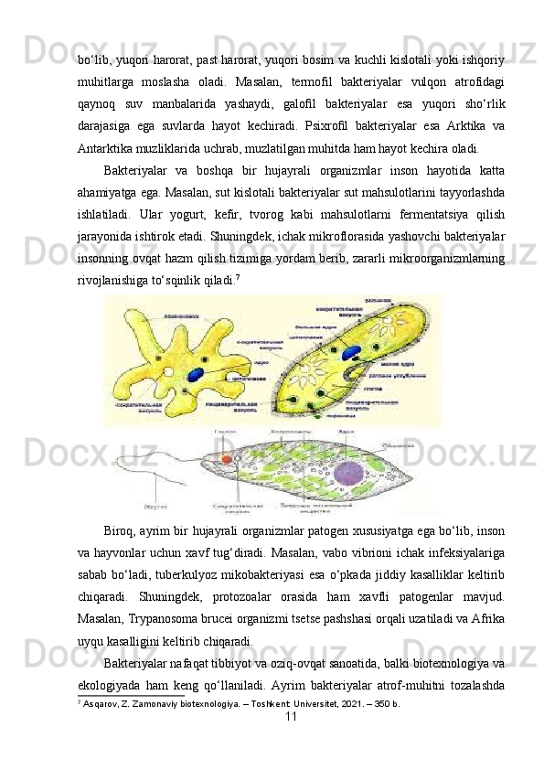 bo‘lib, yuqori harorat, past harorat, yuqori bosim va kuchli kislotali yoki ishqoriy
muhitlarga   moslasha   oladi.   Masalan,   termofil   bakteriyalar   vulqon   atrofidagi
qaynoq   suv   manbalarida   yashaydi,   galoﬁl   bakteriyalar   esa   yuqori   sho‘rlik
darajasiga   ega   suvlarda   hayot   kechiradi.   Psixroﬁl   bakteriyalar   esa   Arktika   va
Antarktika muzliklarida uchrab, muzlatilgan muhitda ham hayot kechira oladi.
Bakteriyalar   va   boshqa   bir   hujayrali   organizmlar   inson   hayotida   katta
ahamiyatga ega. Masalan, sut kislotali bakteriyalar sut mahsulotlarini tayyorlashda
ishlatiladi.   Ular   yogurt,   kefir,   tvorog   kabi   mahsulotlarni   fermentatsiya   qilish
jarayonida ishtirok etadi. Shuningdek, ichak mikroflorasida yashovchi bakteriyalar
insonning ovqat hazm qilish tizimiga yordam berib, zararli mikroorganizmlarning
rivojlanishiga to‘sqinlik qiladi. 7
Biroq, ayrim bir hujayrali organizmlar patogen xususiyatga ega bo‘lib, inson
va hayvonlar   uchun xavf   tug‘diradi. Masalan,  vabo  vibrioni   ichak infeksiyalariga
sabab   bo‘ladi,   tuberkulyoz   mikobakteriyasi   esa   o‘pkada   jiddiy   kasalliklar   keltirib
chiqaradi.   Shuningdek,   protozoalar   orasida   ham   xavfli   patogenlar   mavjud.
Masalan, Trypanosoma brucei organizmi tsetse pashshasi orqali uzatiladi va Afrika
uyqu kasalligini keltirib chiqaradi.
Bakteriyalar nafaqat tibbiyot va oziq-ovqat sanoatida, balki biotexnologiya va
ekologiyada   ham   keng   qo‘llaniladi.   Ayrim   bakteriyalar   atrof-muhitni   tozalashda
7
 Asqarov, Z. Zamonaviy biotexnologiya. – Toshkent: Universitet, 2021. – 350 b.
11 