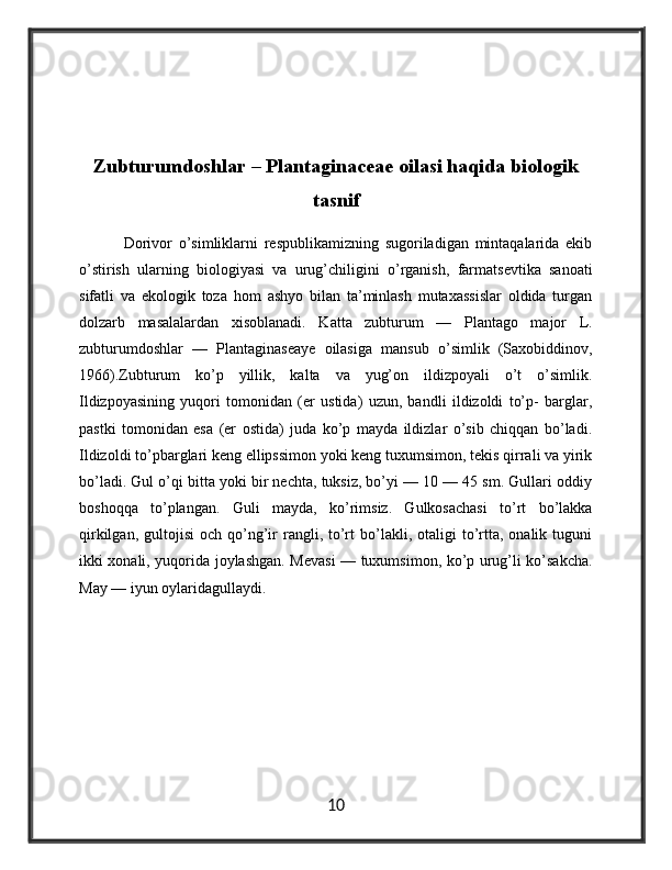 Zubturumdoshlar – Plantaginaceae oilasi haqida biologik
tasnif
              Dorivor   o’simliklarni   respublikamizning   sugoriladigan   mintaqalarida   ekib
o’stirish   ularning   biologiyasi   va   urug’chiligini   o’rganish,   farmatsevtika   sanoati
sifatli   va   ekologik   toza   hom   ashyo   bilan   ta’minlash   mutaxassislar   oldida   turgan
dolzarb   masalalardan   xisoblanadi.   Katta   zubturum   —   Plantago   major   L.
zubturumdoshlar   —   Plantaginaseaye   oilasiga   mansub   o’simlik   (Saxobiddinov,
1966).Zubturum   ko’p   yillik,   kalta   va   yug’on   ildizpoyali   o’t   o’simlik.
Ildizpoyasining   yuqori   tomonidan   (er   ustida)   uzun,   bandli   ildizoldi   to’p-   barglar,
pastki   tomonidan   esa   (er   ostida)   juda   ko’p   mayda   ildizlar   o’sib   chiqqan   bo’ladi.
Ildizoldi to’pbarglari keng ellipssimon yoki keng tuxumsimon, tekis qirrali va yirik
bo’ladi. Gul o’qi bitta yoki bir nechta, tuksiz, bo’yi — 10 — 45 sm. Gullari oddiy
boshoqqa   to’plangan.   Guli   mayda,   ko’rimsiz.   Gulkosachasi   to’rt   bo’lakka
qirkilgan,  gultojisi  och   qo’ng’ir  rangli,  to’rt   bo’lakli,  otaligi  to’rtta,  onalik  tuguni
ikki xonali, yuqorida joylashgan. Mevasi — tuxumsimon, ko’p urug’li ko’sakcha.
May — iyun oylaridagullaydi.
10 