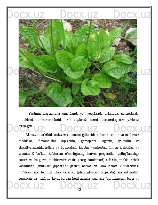               Yurtimizning   xamma   tumanlarida   yo’l   yoqalarida,   dalalarda,   ekinzorlarda,
o’tloklarda,   o’rmonchetlarida,   arik   buylarida   xamda   tashlandiq   nam   yerlarda
tarqalgan.
           Maxsulot tarkibida aukubin (rinantin) glikozidi, achchik, shillik va oshlovchi
moddalar,   flovonoidlar   (apigenin,   gomoplant-   agenin,   lyuteolin   va
skutellyareinglikozidlari   va   boshkalar),   karotin   vaaskorbin,   limon   kislotalar,   va
vitamin   K   bo’lad.   Zubturum   o’simligining   dorivor   preparatlari   yallig’lanishga
qarshi   va   balg’am   ko’chiruvchi   vosita   (barg   damlamasi)   sifatida,   me’da-   ichak
kasalliklari   (surunkali   gipoatsidli   gastrit,   normal   va   kam   kislotalik   sharoitdagi
me’da-un   ikki   barmok   ichak   yarasi)ni   (plantoglyutsid   preparata),   anatsid   gastrit,
surunkali   va   tuzalishi   kiyin   bulgan   kolit   xamda   yaralarni   (quritilmagan   bargi   va
13 