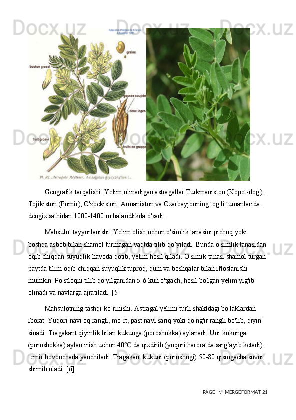 Geografik tarqalishi: Yelim olinadigan astragallar Turkmaniston (Kopet-dog'), 
Tojikiston (Pomir), O'zbekiston, Armaniston va Ozarbayjonning tog'li tumanlarida, 
dengiz sathidan 1000-1400 m balandlikda o'sadi. 
Mahsulot tayyorlanishi: Yelim olish uchun o'simlik tanasini pichoq yoki 
boshqa asbob bilan shamol turmagan vaqtda tilib qo’yiladi. Bunda o'simlik tanasidan
oqib chiqqan suyuqlik havoda qotib, yelim hosil qiladi. O'simik tanasi shamol turgan
paytda tilim oqib chiqqan suyuqlik tuproq, qum va boshqalar bilan ifloslanishi 
mumkin. Po'stloqni tilib qo'yilganidan 5-6 kun o'tgach, hosil bo'lgan yelim yig'ib 
olinadi va navlarga ajratiladi. [5]
Mahsulotning tashqi ko’rinishi. Astragal yelimi turli shakldagi bo'laklardan 
iborat. Yuqori navi oq rangli, mo’rt, past navi sariq yoki qo'ng'ir rangli bo'lib, qiyin 
sinadi. Tragakant qiyinlik bilan kukunga (poroshokka) aylanadi. Uni kukunga 
(poroshokka) aylantirish uchun 40 ℃  da qizdirib (yuqori haroratda sarg’ayib ketadi), 
temir hovonchada yanchiladi. Tragakant kukuni (poroshogi) 50-80 qismgacha suvni 
shimib oladi. [6]
 PAGE   \* MERGEFORMAT 21 