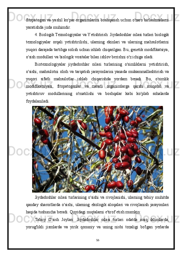 fitopatogen va yashil ko'par organimlarini boshqarish uchun o'zaro birlashmalarni
yaratishda juda muhimdir.
4. Biologik Texnologiyalar va Yetishtirish: Jiydadoshlar oilasi turlari biologik
texnologiyalar   orqali   yetishtirilishi,   ularning   ekinlari   va   ularning   mahsulotlarini
yuqori darajada tartibga solish uchun ishlab chiqarilgan. Bu, genetik modifikatsiya,
o'sish modullari va biologik vositalar bilan ishlov berishni o'z ichiga oladi.
Biotexnologiyalar   jiydadoshlar   oilasi   turlarining   o'simliklarni   yetishtirish,
o'sishi,  mahsulotni  olish  va tarqatish  jarayonlarini  yanada  mukammallashtirish va
yuqori   sifatli   mahsulotlar   ishlab   chiqarishda   yordam   beradi.   Bu,   o'simlik
modifikatsiyasi,   fitopatogenlar   va   zararli   organimlarga   qarshi   muqobil   va
yetishtiruv   modullarining   o'rnatilishi   va   boshqalar   kabi   ko'plab   sohalarda
foydalaniladi.
Jiydadoshlar  oilasi  turlarining o'sishi  va rivojlanishi, ularning tabiiy muhitda
qanday   sharoitlarda   o'sishi,   ularning   ekologik   aloqalari   va   rivojlanish   jarayonlari
haqida tushuncha beradi. Quyidagi nuqtalarni e'tirof etish mumkin:
Tabiiy   O'sish   Joylari:   Jiydadoshlar   oilasi   turlari   odatda   issiq   iklimlarda,
yorug'likli   jismlarda   va   yirik   qonuniy   va   uning   nisbi   tozaligi   bo'lgan   yerlarda
16 