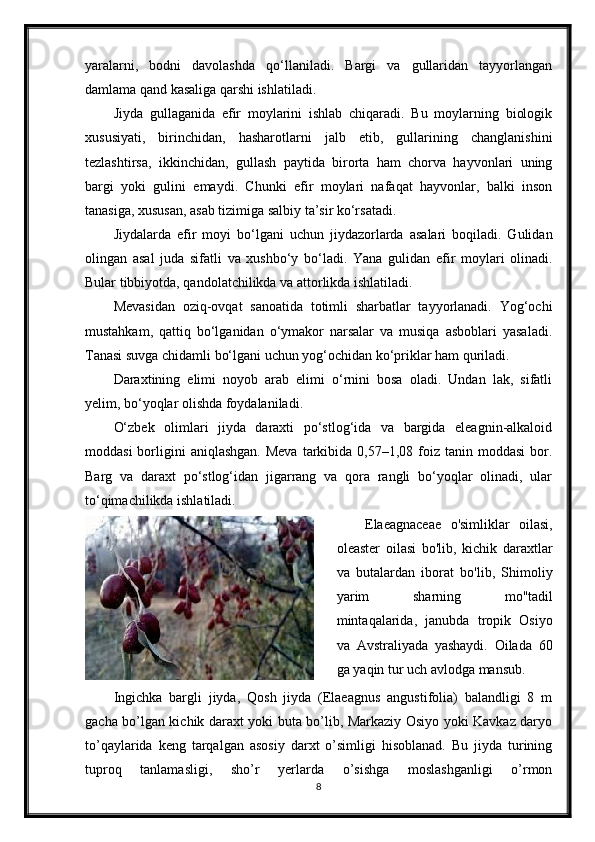 yaralarni,   bodni   davolashda   qo‘llaniladi.   Bargi   va   gullaridan   tayyorlangan
damlama qand kasaliga qarshi ishlatiladi.
Jiyda   gullaganida   efir   moylarini   ishlab   chiqaradi.   Bu   moylarning   biologik
xususiyati,   birinchidan,   hasharotlarni   jalb   etib,   gullarining   changlanishini
tezlashtirsa,   ikkinchidan,   gullash   paytida   birorta   ham   chorva   hayvonlari   uning
bargi   yoki   gulini   emaydi.   Chunki   efir   moylari   nafaqat   hayvonlar,   balki   inson
tanasiga, xususan, asab tizimiga salbiy ta’sir ko‘rsatadi.
Jiydalarda   efir   moyi   bo‘lgani   uchun   jiydazorlarda   asalari   boqiladi.   Gulidan
olingan   asal   juda   sifatli   va   xushbo‘y   bo‘ladi.   Yana   gulidan   efir   moylari   olinadi.
Bular tibbiyotda, qandolatchilikda va attorlikda ishlatiladi.
Mevasidan   oziq-ovqat   sanoatida   totimli   sharbatlar   tayyorlanadi.   Yog‘ochi
mustahkam,   qattiq   bo‘lganidan   o‘ymakor   narsalar   va   musiqa   asboblari   yasaladi.
Tanasi suvga chidamli bo‘lgani uchun yog‘ochidan ko‘priklar ham quriladi.
Daraxtining   elimi   noyob   arab   elimi   o‘rnini   bosa   oladi.   Undan   lak,   sifatli
yelim, bo‘yoqlar olishda foydalaniladi.
O‘zbek   olimlari   jiyda   daraxti   po‘stlog‘ida   va   bargida   eleagnin-alkaloid
moddasi   borligini   aniqlashgan.  Meva  tarkibida 0,57–1,08  foiz  tanin  moddasi   bor.
Barg   va   daraxt   po‘stlog‘idan   jigarrang   va   qora   rangli   bo‘yoqlar   olinadi,   ular
to‘qimachilikda ishlatiladi.
Elaeagnaceae   o'simliklar   oilasi,
oleaster   oilasi   bo'lib,   kichik   daraxtlar
va   butalardan   iborat   bo'lib,   Shimoliy
yarim   sharning   mo''tadil
mintaqalarida,   janubda   tropik   Osiyo
va   Avstraliyada   yashaydi.   Oilada   60
ga yaqin tur uch avlodga mansub.
Ingichka   bargli   jiyda,   Qosh   jiyda   (Elaeagnus   angustifolia)   balandligi   8   m
gacha bo’lgan kichik daraxt yoki buta bo’lib, Markaziy Osiyo yoki Kavkaz daryo
to’qaylarida   keng   tarqalgan   asosiy   darxt   o’simligi   hisoblanad.   Bu   jiyda   turining
tuproq   tanlamasligi,   sho’r   yerlarda   o’sishga   moslashganligi   o’rmon
8 