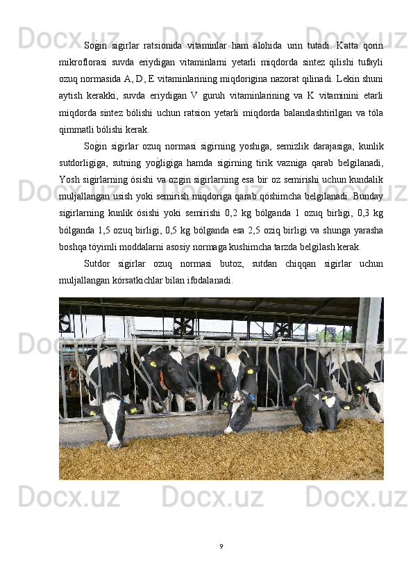 Sog*in   sigirlar   ratsionida   vitaminlar   ham   alohida   urin   tutadi.   Katta   qorin
mikroflorasi   suvda   eriydigan   vitaminlarni   yetarli   miqdorda   sintez   qilishi   tufayli
ozuq normasida A, D, E vitaminlarining miqdorigina nazorat qilinadi. Lekin shuni
aytish   kerakki,   suvda   eriydigan   V   guruh   vitaminlarining   va   K   vitaminini   etarli
miqdorda   sintez   bólishi   uchun   ratsion   yetarli   miqdorda   balanslashtirilgan   va   tóla
qimmatli bólishi kerak.
So
g*in   sigirlar   ozuq   normasi   sigirning   yoshiga,   semizlik   darajasiga,   kunlik
sutdorligiga,   sutning   yo	
g*ligiga   hamda   sigirning   tirik   vazniga   qarab   belgilanadi,
Yosh sigirlarning ósishi va ozgin sigirlarning esa bir oz semirishi uchun kundalik
muljallangan usish yoki semirish miqdoriga qarab qóshimcha belgilanadi. Bunday
sigirlarning   kunlik   ósishi   yoki   semirishi   0,2   kg   bólganda   1   ozuq   birligi,   0,3   kg
bólganda 1,5 ozuq birligi, 0,5 kg bólganda esa 2,5 oziq birligi va shunga yarasha
boshqa tóyimli moddalarni asosiy normaga kushimcha tarzda belgilash kerak.
Sutdor   sigirlar   ozuq   normasi   butoz,   sutdan   chiqqan   sigirlar   uchun
muljallangan kórsatkichlar bilan ifodalanadi. 
9 
