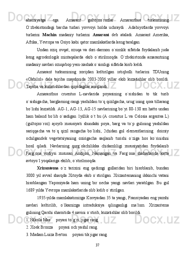 ahamiyatga   ega.   Amarant   gultojxo`rozlar   Amaranthus   turkumining
O`zbekistondagi   barcha   turlari   yovvoyi   holda   uchraydi   .   Adabiyotlarda   yovvoyi
turlarini   Machin   madaniy   turlarini   Amarant   deb   ataladi.   Amarant   Amerika,
Afrika, Yevropa va Osiyo kabi qator mamlakatlarda keng taralgan. 
Undan   oziq   ovqat,   ozuqa   va   dori-darmon   o`simlik   sifatida   foydalanib   juda
keng   agroekologik   mintaqalarda   ekib   o`stirilmoqda.   O`zbekistonda   amarantning
madaniy navlari ozuqabop yem-xashak o`simligi sifatida kirib keldi. 
Amarant   turkumining   xorijdan   keltirilgan   istiqbolli   turlarini   TDUning
«Okbilol»   dala   tajriba   maydonida   2003-2006   yillar   ekib   kuzatishlar   olib   borildi.
Tajriba va kuzatishlardan quyidagilar aniqlandi.  
Amaranthus   cruentus   L-navlarida   poyasining   o`sishidan   to   tik   turib
o`sishigacha, barglarning rangi yashildan to`q qizilgacha, urug`ining qora tillarang
bo`lishi kuzatildi. AG-1, AG-13, AG-15 navlarining bo`yi 80-130 sm hatto undan
ham   baland   bo`lib  o`sadigan   1yillik  o`t   bu   (A   cruentus   L   va  Celosia   argentea  L)
(gultojxo`roz)   ajoyib   xususiyati   shundaki   poya,   barg   va   to`p   gulining   yashildan
sariqqacha   va   to`q   qizil   rangacha   bo`lishi,   2chidan   gul   elementlarining     doimiy
ochilgandek   vegetatsiyaning   oxirigacha   saqlanib   turishi   o`ziga   hos   ko`rinishni
hosil   qiladi.   Navlarning   qurg`okchilikka   chidamliligi   xususiyatidan   foydalanib
Farg`ona   vodiysi   xususan   Andijon,   Namangan   va   Farg`ona   shaharlarida   katta
avtoyo`l yoqalariga ekilib, o`stirilmoqda.
Xrizantema   o`z   tarixini   eng   qadimgi   gullaridan   biri   hisoblanib,   bundan
3000   yil   avval   sharqda   Xitoyda   ekib   o`stirilgan.   Xrizantemaning   ikkinchi   vatani
hisoblangan   Yaponiyada   ham   uning   bir   necha   yangi   navlari   yaratilgan.   Bu   gul
1689 yilda Yevropa mamlakatlarida olib kelib o`stirilgan. 
1935-yilda mamlakatimizga Koreyadan 35 ta yangi, Fransiyadan eng yaxshi
navlari   keltirilib,   o`lkamizga   intraduksiya   qilinganligi   ma`lum.   Xrizantema
gulining Qarshi sharoitida 4 navini o`stirib, kuzatishlar olib borildi. 
1. Nikola Mas   poyasi to`g`ri, jigar rang. 
2. Xoek Bronza   poyasi och yashil rang. 

3. Madam Luiza Berton   poyasi tik jigar rang.	

37 