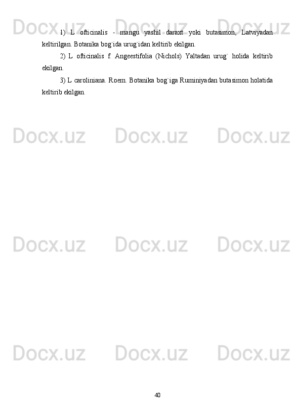 1)   L   ofticinalis   -   mangu   yashil   daraxt   yoki   butasimon,   Latviyadan
keltirilgan. Botanika bog`ida urug`idan keltirib ekilgan. 
2)   L   ofticinalis   f.   Angeestifolia   (Nichols)   Yaltadan   urug`   holida   keltirib
ekilgan.
3) L caroliniana. Roem. Botanika bog`iga Ruminiyadan butasimon holatida
keltirib ekilgan. 
                                    
40 