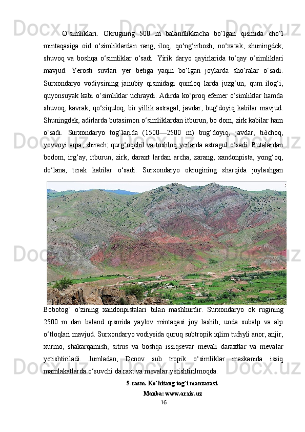 O‘simliklari.   Okrugning   500   m   balandlikkacha   bo‘lgan   qismida   cho‘l
mintaqasiga   oid   o‘simliklardan   rang,   iloq,   qo‘ng‘irbosh,   no‘xatak,   shuningdek,
shuvoq   va   boshqa   o‘simliklar   o‘sadi.   Yirik   daryo   qayirlarida   to‘qay   o‘simliklari
mavjud.   Yerosti   suvlari   yer   betiga   yaqin   bo‘lgan   joylarda   sho‘ralar   o‘sadi.
Surxondaryo   vodiysining   janubiy   qismidagi   qumloq   larda   juzg‘un,   qum   ilog‘i,
quyonsuyak   kabi   o‘simliklar   uchraydi.   Adirda   ko‘proq   efemer   o‘simliklar   hamda
shuvoq,   kavrak,  qo‘ziquloq,  bir   yillik  astragal,   javdar,   bug‘doyiq   kabilar   mavjud.
Shuningdek, adirlarda butasimon o‘simliklardan itburun, bo dom, zirk kabilar ham
o‘sadi.   Surxondaryo   tog‘larida   (1500—2500   m)   bug‘doyiq,   javdar,   tiðchoq,
yovvoyi arpa, shirach; qurg‘oqchil va toshloq yerlarda astragul o‘sadi. Butalardan
bodom,   irg‘ay,   itburun,   zirk,   daraxt   lardan   archa,   zarang,   xandonpista,   yong‘oq,
do‘lana,   terak   kabilar   o‘sadi.   Surxondaryo   okrugining   sharqida   joylashgan
Bobotog‘   o‘zining   xandonpistalari   bilan   mashhurdir.   Surxondaryo   ok   rugining
2500   m   dan   baland   qismida   yaylov   mintaqasi   joy   lashib,   unda   subalp   va   alp
o‘tloqlari mavjud. Surxondaryo vodiysida quruq subtropik iqlim tufayli anor, anjir,
xurmo,   shakarqamish,   sitrus   va   boshqa   issiqsevar   mevali   daraxtlar   va   mevalar
yetishtiriladi.   Jumladan,   Denov   sub   tropik   o‘simliklar   maskanida   issiq
mamlakatlarda o‘suvchi da raxt va mevalar yetishtirilmoqda. 
5-rasm. Ko`hitang tog`i manzarasi.
Manba: www.arxiv.uz
16 