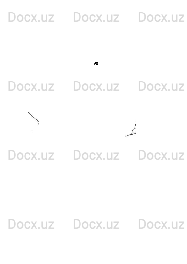 58 