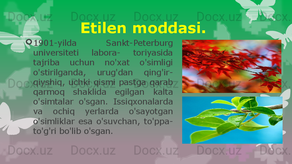 Etilen moddasi. 

1901-yilda  Sankt-Peterburg 
universiteti  labora-  toriyasida 
tajriba  uchun  no'xat  o'simligi 
o'stirilganda,  urug'dan  qing'ir- 
qiyshiq,  uchki  qismi  pastga  qarab 
qarmoq  shaklida  egilgan  kalta 
o'simtalar  o'sgan.  Issiqxonalarda 
va  ochiq  yerlarda  o'sayotgan 
o'simliklar  esa  o'suvchan,  to'ppa-
to'g'ri bo'lib o'sgan.                                                                         