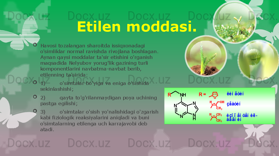 
Havosi tozalangan sharoitda issiqxonadagi 
o'simliklar normal ravishda rivojlana boshlagan. 
Aynan qaysi moddalar ta'sir etishini o'rganish 
maqsadida Nelyubov yorug'lik gazining turli 
komponentlarini navbatma-navbat berib, 
etilenning ta'sirida:

1) o'simtalar bo'yiga va eniga o'sishida 
sekinlashishi;

2) qayta to'g'rilanmaydigan poya uchining 
pastga egilishi;

3) o'simtalar o'sish yo'nalishidagi o'zgarish 
kabi fiziologik reaksiyalarini aniqladi va buni 
o'simtalarning etilenga uch karrajavobi deb 
atadi. Etilen moddasi. êèíåòèí	
N	
N	N
H
N	
N	H	R	R	 =	O	
H	
CH3
OH	
H	CH3	
CH3	
çåàòèí	
èçîïåíòåíèë	-	
àä	åíèí	
êèíåòèí	
N	
N	N
H
N	
N	H	R	R	 =	O	
H	
CH3
OH	
H	CH3	
CH3	
çåàòèí	
èçîïåíòåíèë	-	
àä	åíèí                                                                           