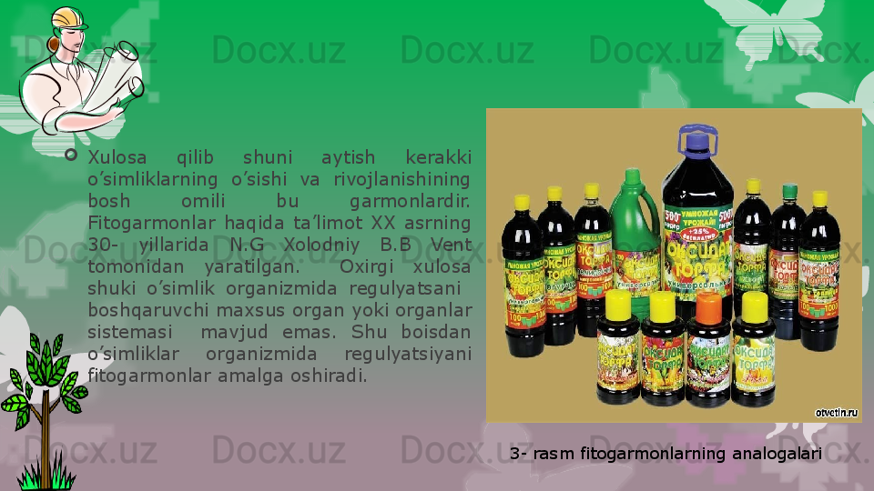 
Xulosa  qilib  shuni  aytish  kerakki 
o’simliklarning  o’sishi  va  rivojlanishining 
bosh  omili  bu  garmonlardir. 
Fitogarmonlar  haqida  ta’limot  XX  asrning 
30-  yillarida  N.G  Xolodniy  B.B  Vent 
tomonidan  yaratilgan.    Oxirgi  xulosa 
shuki  o’simlik  organizmida  regulyatsani   
boshqaruvchi maxsus organ yoki organlar 
sistemasi    mavjud  emas.  Shu  boisdan 
o’simliklar  organizmida  regulyatsiyani 
fitogarmonlar amalga oshiradi.
3- rasm fitogarmonlarning analogalari                                                                        