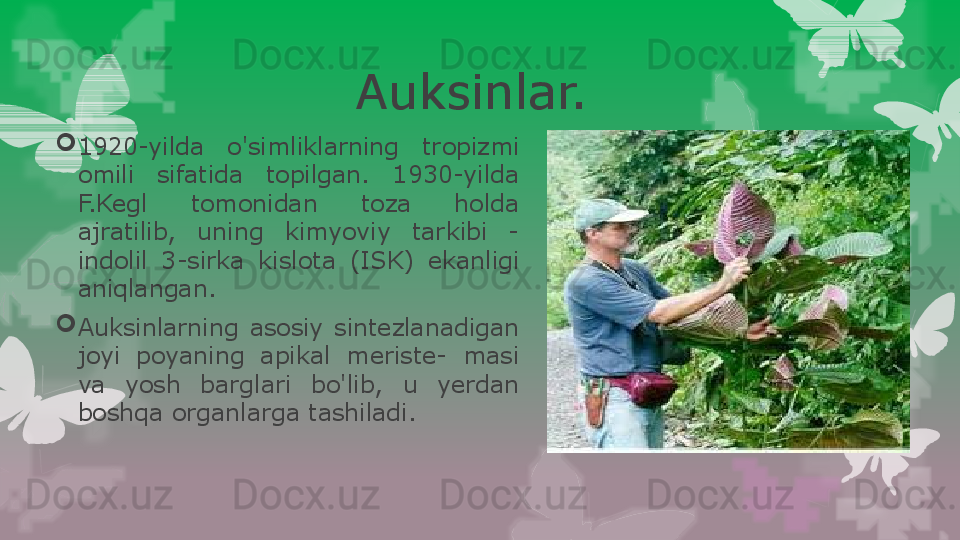 Auksinlar. 

1920-yilda  o'simlikla rn ing  tropizmi 
omili  sifatida  topilgan.  1930-yilda 
F.Kegl  tomonidan  toza  holda 
ajratilib,  uning  kimyoviy  tarkibi  - 
indolil  3-sirka  kislota  (ISK)  ekanligi 
aniqlangan.

Auksinlarning   asosiy  sintezlanadigan 
joyi  poyaning  apikal  meriste-  masi 
va  yosh  barglari  bo'lib,  u  yerdan 
boshqa organlarga tashiladi.                                                                        