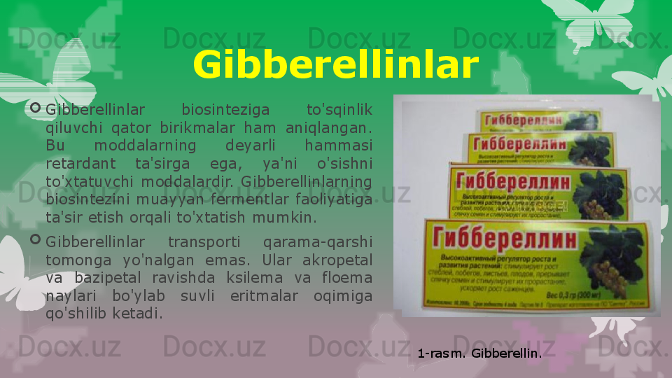 
Gibberellinlar  biosinteziga  to'sqinlik 
qiluvchi  qator  birikmalar  ham  aniqlangan. 
Bu  moddalarning  deyarli  hammasi 
retardant  ta'sirga  ega,  ya'ni  o'sishni 
to'xtatuvchi  moddalardir.  Gibberellinlarning 
biosintezini  muayyan  fermentlar  faoliyatiga 
ta'sir etish orqali to'xtatish mumkin.

Gibberellinlar  transporti  qarama-qarshi 
tomonga  yo'nalgan  emas.  Ular  akropetal 
va  bazipetal  ravishda  ksilema  va  floema 
naylari  bo'ylab  suvli  eritmalar  oqimiga 
qo'shilib ketadi. Gibberellinlar
1-rasm. Gibberellin.                                                                        