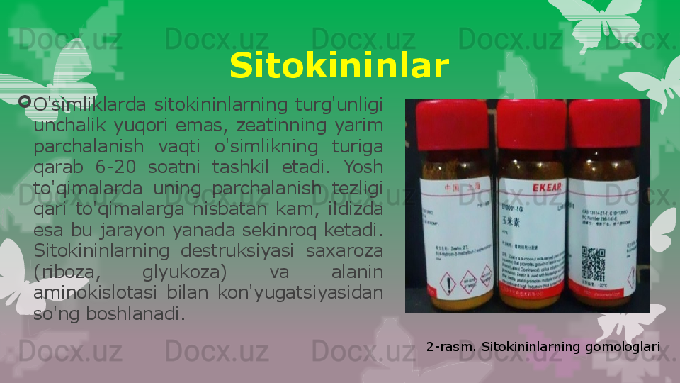 
O'simliklarda  sitokininlarning  turg'unligi 
unchalik  yuqori  emas,  zeatinning  yarim 
parchalanish  vaqti  o'simlikning  turiga 
qarab  6-20  soatni  tashkil  etadi.  Yosh 
to'qimalarda  uning  parchalanish  tezligi 
qari  to'qimalarga  nisbatan  kam,  ildizda 
esa  bu  jarayon yanada  sekinroq ketadi. 
Sitokininlarning  destruksiyasi  saxaroza 
(riboza,  glyukoza)  va  alanin 
aminokislotasi  bilan  kon'yugatsiyasidan 
so'ng boshlanadi. Sitokininlar
2-rasm. Sitokininlarning gomologlari                                                                        