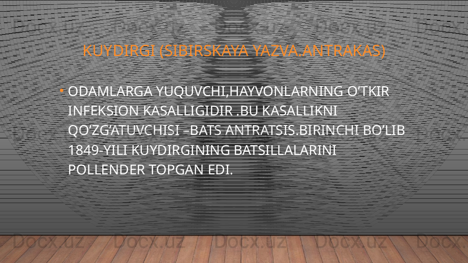 KUYDIRGI (SIBIRSKAYA YAZVA.ANTRAKAS)
•
ODAMLARGA YUQUVCHI,HAYVONLARNING O’TKIR 
INFEKSION KASALLIGIDIR .BU KASALLIKNI 
QO’ZG’ATUVCHISI –BATS ANTRATSIS.BIRINCHI BO’LIB 
1849-YILI KUYDIRGINING BATSILLALARINI 
POLLENDER TOPGAN EDI.  