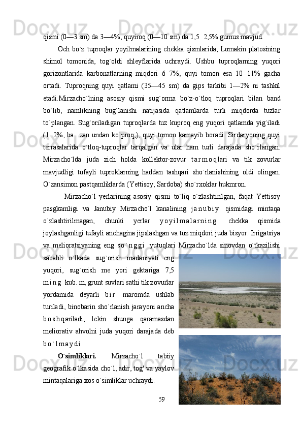 qismi (0—3 sm) da 3—4%, quyiroq (0—10 sm) da 1,5 2,5% gumus mavjud.
Och   bo`z   tuproqlar   yoyilmalarining  chekka   qismlarida,   Lomakin   platosining
shimol   tomonida,   tog`oldi   shleyflarida   uchraydi.   Ushbu   tuproqlarning   yuqori
gorizontlarida   karbonatlarning   miqdori   6 7%,   quyi   tomon   esa   10 11%   gacha	
 
ortadi.   Тuproqning   quyi   qatlami   (35—45   sm)   da   gips   tarkibi   1—2%   ni   tashkil
etadi.Mirzacho`lning   asosiy   qismi   sug`orma   bo`z-o`tloq   tuproqlari   bi lan   band
bo`lib,   namlikning   bug`lanishi   natijasida   qatlamlarda   turli   miqdorda   tuzlar
to`plangan.   Sug`oriladigan   tuproqlarda   tuz   kuproq   eng   yuqori   qatlamda   yig`iladi
(1 2%,  ba zan  undan  ko`proq;),  quyi   tomon  kamayib  boradi.  Sirdaryoning  quyi	
	
terrasalarida   o`tloq-tuproqlar   tarqalgan   va   ular   ham   turli   darajada   sho`rlangan.
Mirzacho`lda   juda   zich   holda   kollektor-zovur   t a r m o q lari   va   tik   zovurlar
mavjudligi   tufayli   tuproklarning   haddan   tashqari   sho`rlanishining   oldi   olingan.
O`zansimon pastqamliklarda (Yettisoy, Sardoba) sho`rxoklar hukmron.
    Mirzacho`l   yerlarining   asosiy   qismi   to`liq   o`zlashtirilgan,   faqat   Yettisoy
pasgkamligi   va   Janubiy   Mirzacho`l   kanalining   j a n u b i y   qismidagi   mintaqa
o`zlashtirilmagan,   chunki   yerlar   y o y i l m a l a r n i n g   chekka   qismida
joylashganligi tufayli anchagina jipslashgan va tuz miqdori juda bisyor. Irrigatsiya
va   melioratsiyaning   eng   s o ` n g g i   yutuqlari   Mirzacho`lda   sinovdan   o`tkazilishi
sababli   o`lkada   sug`orish   madaniyati   eng
yuqori,   sug`orish   me yori   gektariga   7,5	

m i n g   kub. m, grunt suvlari sathi tik zovurlar
yordamida   deyarli   b i r   maromda   ushlab
turiladi,  binobarin  sho`rlanish  jarayoni   ancha
b o s h q ariladi,   lekin   shunga   qaramasdan
meliorativ   ahvolni   juda   yuqori   darajada   deb
b o ` l m a y d i
O`simliklari.   Mirzacho`l   tabiiy
geografik o`lkasida cho`l, adir, tog' va yaylov
mintaqalariga xos o`simliklar uchraydi.
59 