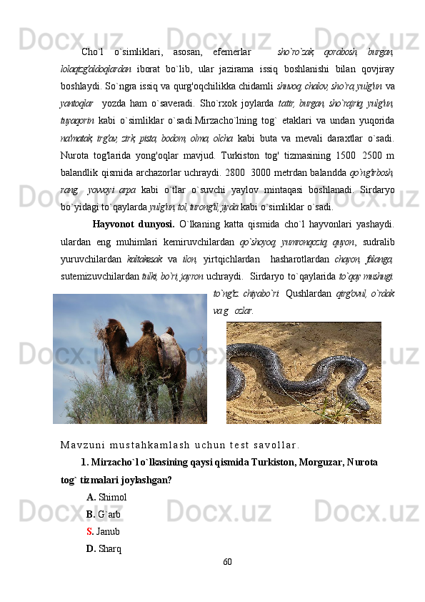 Cho`l   o`simliklari,   asosan,   efemerlar     sho`ro`zak,   qorabosh,   burgan,
lolaqizg'aldoqlardan   iborat   bo`lib,   ular   jazirama   issiq   boshlanishi   bilan   qovjiray
boshlaydi. So`ngra issiq va qurg'oqchilikka chidamli  shuvoq, chalov, sho`ra, yulg'un  va
yantoqlar     yozda   ham   o`saveradi.   Sho`rxok   joylarda   ta tir, burgan, sho`rajriq, yulg'un,
tuyaqorin   kabi   o`simliklar   o`sadi.Mirzacho`lning   tog`   etaklari   va   undan   yuqorida
na'matak, irg'av, zirk, pista, bodom, olma, olcha   kabi   buta   va   mevali   daraxtlar   o`sadi.
Nurota   tog'larida   yong'oqlar   mavjud.   Turkiston   tog'   tizmasining   1500 2500   m	

balandlik qismida archazorlar uchraydi. 2800 3000 metrdan balandda  	
 qo`ng'irbosh,
rang,     yovvoyi   arpa   kabi   o`tlar   o`suvchi   yaylov   mintaqasi   boshlanadi.   Sirdaryo
bo`yidagi to`qaylarda  yulg'un, tol, turong'il, jiyda  kabi o`simliklar o`sadi.
              Hayvonot   dunyosi.   O`lkaning   katta   qismida   cho`l   hayvonlari   yashaydi.
ulardan   eng   muhimlari   kemiruvchilardan   qo`shoyoq,   yumronqoziq,   quyon ,   sudralib
yuruvchilardan   kaltakesak   va   ilon,   yirtqichlardan     hasharotlardan   chayon,   falanga,
sutemizuvchilardan   tulki, bo`ri, jayron  uchraydi.  Sirdaryo   to` qaylarida  to` qay mushugi.
to`ng'iz. chiyabo`ri.   Qushlardan   qirg'ovul, o`rdak
va g ozlar.	

M a v z u n i   m u s t a h k a m l a s h   u c h u n   t e s t   s a v o l l a r .
1. Mirzacho`l o`lkasining qaysi qismida Turkiston, Morguzar, Nurota 
tog` tizmalari joylashgan? 
   А .  Shimol
  B.  G`arb  
  S .  Janub                                     
  D.  Sharq  
60 