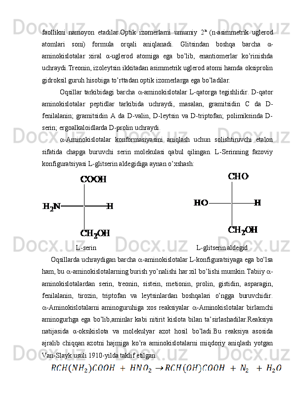 faollikni   namoyon   etadilar.Optik   izomerlarni   umumiy   2 n
  (n-asimmetrik   uglerod
atomlari   soni)   formula   orqali   aniqlanadi.   Glitsindan   boshqa   barcha   α -
aminokislotalar   xiral   α -uglerod   atomiga   ega   bo’lib,   enantiomerlar   ko’rinishda
uchraydi.Treonin, izoleytsin ikkitadan asimmetrik uglerod atomi hamda oksiprolin
gidroksil guruh hisobiga to’rttadan optik izomerlarga ega bo’ladilar.
Oqsillar  tarkibidagi  barcha    -aminokislotalar  L-qatorga tegishlidir. D-qator
aminokislotalar   peptidlar   tarkibida   uchraydi,   masalan,   gramitsidin   C   da   D-
fenilalanin;   gramitsidin   A   da   D-valin,   D-leytsin   va   D-triptofan;   polimiksinda   D-
serin; ergoalkaloidlarda D-prolin uchraydi. 
 -Aminokislotalar   konformasiyasini   aniqlash   uchun   solishtiruvchi   etalon
sifatida   chapga   buruvchi   serin   molekulasi   qabul   qilingan.   L-Serinning   fazoviy
konfiguratsiyasi L-glitserin aldegidiga aynan o’xshash:
L-serin                                                          L-glitserin aldegid
Oqsillarda uchraydigan barcha   -aminokislotalar L-konfiguratsiyaga ega bo’lsa
ham, bu   -aminokislotalarning burish yo’nalishi har xil bo’lishi mumkin. Tabiiy   -
aminokislotalardan   serin,   treonin,   sistein,   metionin,   prolin,   gistidin,   asparagin,
fenilalanin,   tirozin,   triptofan   va   leytsinlardan   boshqalari   o’ngga   buruvchidir.
 Aminokislotalarni   aminoguruhiga   xos   reaksiyalar    Aminokislotalar   birlamchi
aminogurhga   ega   bo’lib,aminlar   kabi   nitirit   kislota   bilan   ta’sirlashadilar.Reaksiya
natijasida   α -oksikislota   va   molekulyar   azot   hosil   bo’ladi.Bu   reaksiya   asosida
ajralib   chiqqan   azotni   hajmiga   ko’ra   aminokislotalarni   miqdoriy   aniqlash   yotgan
Van-Slayk usuli 1910 - yilda taklif etilgan. 
