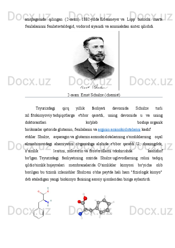 aniqlaganida   qilingan   ( 2-rasm) .   1882-yilda   Erlenmeyer   va   Lipp   birinchi   marta
fenilalaninni   fenilatsetaldegid ,   vodorod siyanidi   va   ammiakdan   sintez qilishdi.
2-rasm.  Ernst Schulze (chemist)
Tsyurixdagi   qirq   yillik   faoliyati   davomida   Schulze   turli
xil   fitokimyoviy   tadqiqotlarga   e'tibor   qaratdi,   uning   davomida   u   va   uning
doktorantlari   ko'plab   boshqa   organik
birikmalar   qatorida   glutamin ,   fenilalanin   va   arginin        aminokislotalarini      kashf
etdilar.   Shulze,   asparagin   va   glutamin   aminokislotalarining   o'simliklarning   oqsil
almashinuvidagi   ahamiyatini   o'rganishga   alohida   e'tibor   qaratdi.   U,   shuningdek,
o'simlik   lesitini ,   xolesterin   va   fitosterollarni   tekshirishda   kashshof
bo'lgan.   Tsyurixdagi   faoliyatining   oxirida   Shulze   uglevodlarning   rolini   tadqiq
qildi o'simlik   hujayralari   membranalarida .   O'simliklar   kimyosi   bo'yicha   olib
borilgan   bu  tizimli   izlanishlar   Shulzeni   o'sha   paytda   hali   ham   "fiziologik  kimyo"
deb ataladigan yangi   biokimyo   fanining asosiy qismlaridan biriga aylantirdi.
       