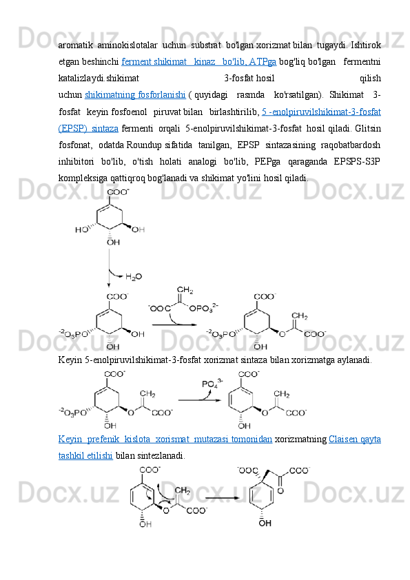 aromatik   aminokislotalar   uchun   substrat   bo'lgan   xorizmat   bilan   tugaydi.   Ishtirok
etgan   beshinchi   ferment        shikimat   kinaz   bo'lib,        ATPga      bog'liq   bo'lgan   fermentni
katalizlaydi. shikimat   3-fosfat   hosil   qilish
uchun   shikimatning        fosforlanishi      (   quyidagi   rasmda   ko'rsatilgan).     Shikimat   3-
fosfat   keyin   fosfoenol   piruvat   bilan   birlashtirilib,   5       -enolpiruvilshikimat-3-fosfat   
(EPSP)   sintaza   fermenti   orqali   5-enolpiruvilshikimat-3-fosfat   hosil   qiladi.   Glitsin
fosfonat,   odatda   Roundup   sifatida   tanilgan,   EPSP   sintazasining   raqobatbardosh
inhibitori   bo'lib,   o'tish   holati   analogi   bo'lib,   PEPga   qaraganda   EPSPS-S3P
kompleksiga qattiqroq bog'lanadi va shikimat yo'lini hosil qiladi.
Keyin 5-enolpiruvilshikimat-3-fosfat xorizmat sintaza   bilan   xorizmatga   aylanadi.
Keyin   prefenik   kislota   xorismat   mutazasi        tomonidan      xorizmatning   Claisen        qayta   
tashkil etilishi   bilan   sintezlanadi.  