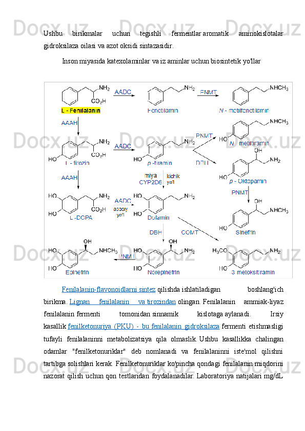 Ushbu   birikmalar   uchun   tegishli   fermentlar   aromatik   aminokislotalar
gidroksilaza   oilasi va   azot oksidi sintazasidir .
Inson miyasida   katexolaminlar   va   iz   aminlar   uchun biosintetik yo'llar
Fenilalanin-flavonoidlarni        sintez      qilishda   ishlatiladigan   boshlang'ich
birikma.   Lignan   fenilalanin   va        tirozindan      olingan.   Fenilalanin   ammiak-liyaz
fenilalanin   fermenti   tomonidan   sinnamik   kislotaga   aylanadi.   Irsiy
kasallik   fenilketonuriya   (PKU)   -   bu        fenilalanin   gidroksilaza      fermenti   etishmasligi
tufayli   fenilalaninni   metabolizatsiya   qila   olmaslik.   Ushbu   kasallikka   chalingan
odamlar   "fenilketonuriklar"   deb   nomlanadi   va   fenilalaninni   iste'mol   qilishni
tartibga solishlari kerak.   Fenilketonuriklar ko'pincha qondagi fenilalanin miqdorini
nazorat  qilish  uchun  qon testlaridan  foydalanadilar.   Laboratoriya natijalari  mg/dL 
