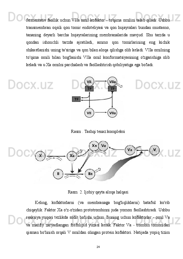 fermentativ faollik uchun VIIa omil kofaktor - to'qima omilini talab qiladi. Ushbu
transmembran   oqsili   qon  tomir  endoteliyasi   va  qon  hujayralari   bundan  mustasno,
tananing   deyarli   barcha   hujayralarining   membranalarida   mavjud.   Shu   tarzda   u
qondan   ishonchli   tarzda   ajratiladi,   ammo   qon   tomirlarining   eng   kichik
shikastlanishi uning ta'siriga va qon bilan aloqa qilishga olib keladi. VIIa omilning
to'qima   omili   bilan   bog'lanishi   VIIa   omil   konformatsiyasining   o'zgarishiga   olib
keladi va u Xa omilni parchalash va faollashtirish qobiliyatiga ega bo'ladi.
Rasm . Tashqi tenaz kompleksi
Rasm  2. Ijobiy qayta aloqa halqasi
Keling,   kofaktorlarni   (va   membranaga   bog'liqliklarni)   batafsil   ko'rib
chiqaylik. Faktor Xa o'z-o'zidan prototrombinni juda yomon faollashtiradi. Ushbu
reaksiya yuqori tezlikda sodir bo'lishi uchun. Buning uchun kofaktorlar - omil Va
va   manfiy   zaryadlangan   fosfolipid   yuzasi   kerak.   Faktor   Va   -   trombin   tomonidan
qisman bo'linish orqali V omildan olingan protein kofaktori. Natijada yopiq tizim
24