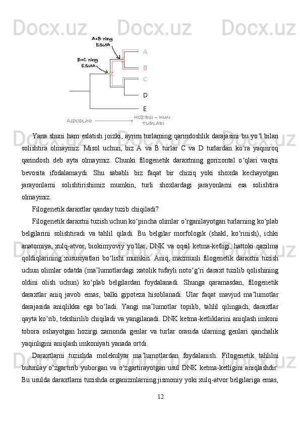 Yana shuni ham eslatish joizki, ayrim turlarning qarindoshlik darajasini bu yo l bilanʻ
solishtira   olmaymiz.   Misol   uchun,   biz   A   va   B   turlar   C   va   D   turlardan   ko ra   yaqinroq	
ʻ
qarindosh   deb   ayta   olmaymiz.   Chunki   filogenetik   daraxtning   gorizontal   o qlari   vaqtni
ʻ
bevosita   ifodalamaydi.   Shu   sababli   biz   faqat   bir   chiziq   yoki   shoxda   kechayotgan
jarayonlarni   solishtirishimiz   mumkin,   turli   shoxlardagi   jarayonlarni   esa   solishtira
olmaymiz.
Filogenetik daraxtlar qanday tuzib chiqiladi?
Filogenetik daraxtni tuzish uchun ko pincha olimlar o rganilayotgan turlarning ko plab	
ʻ ʻ ʻ
belgilarini   solishtiradi   va   tahlil   qiladi.   Bu   belgilar   morfologik   (shakl,   ko rinish),   ichki	
ʻ
anatomiya, xulq-atvor, biokimyoviy yo llar, DNK va oqsil ketma-ketligi, hattoki qazilma	
ʻ
qoldiqlarining xususiyatlari  bo lishi  mumkin. Aniq, mazmunli filogenetik daraxtni  tuzish	
ʻ
uchun olimlar odatda (ma lumotlardagi xatolik tufayli noto g ri daraxt tuzilib qolishining	
ʼ ʻ ʻ
oldini   olish   uchun)   ko plab   belgilardan   foydalanadi.   Shunga   qaramasdan,   filogenetik	
ʻ
daraxtlar   aniq   javob   emas,   balki   gipoteza   hisoblanadi.   Ular   faqat   mavjud   ma lumotlar	
ʼ
darajasida   aniqlikka   ega   bo ladi.   Yangi   ma lumotlar   topilib,   tahlil   qilingach,   daraxtlar	
ʻ ʼ
qayta ko rib, tekshirilib chiqiladi va yangilanadi. DNK ketma-ketliklarini aniqlash imkoni	
ʻ
tobora   oshayotgan   hozirgi   zamonda   genlar   va   turlar   orasida   ularning   genlari   qanchalik
yaqinligini aniqlash imkoniyati yanada ortdi.
Daraxtlarni   tuzishda   molekulyar   ma lumotlardan   foydalanish.   Filogenetik   tahlilni	
ʼ
butunlay o zgartirib yuborgan va o zgartirayotgan usul  DNK ketma-ketligini aniqlashdir.	
ʻ ʻ
Bu usulda daraxtlarni tuzishda organizmlarning jismoniy yoki xulq-atvor belgilariga emas,
12 