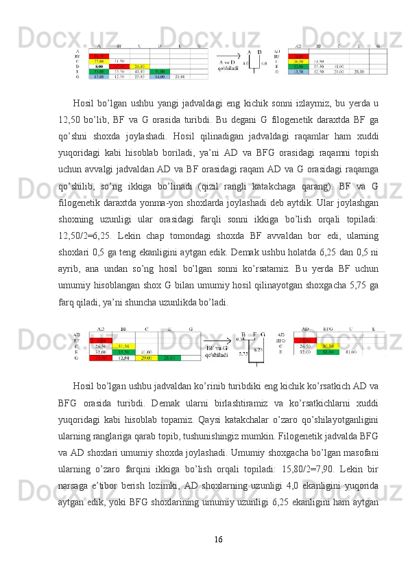 Hosil   bo’lgan   ushbu   yangi   jadvaldagi   eng   kichik   sonni   izlaymiz,   bu   yerda   u
12,50   bo’lib,   BF   va   G   orasida   turibdi.   Bu   degani   G   filogenetik   daraxtda   BF   ga
qo’shni   shoxda   joylashadi.   Hosil   qilinadigan   jadvaldagi   raqamlar   ham   xuddi
yuqoridagi   kabi   hisoblab   boriladi,   ya’ni   AD   va   BFG   orasidagi   raqamni   topish
uchun avvalgi  jadvaldan AD va BF orasidagi  raqam  AD va G orasidagi  raqamga
qo’shilib,   so’ng   ikkiga   bo’linadi   (qizil   rangli   katakchaga   qarang).   BF   va   G
filogenetik daraxtda yonma-yon shoxlarda joylashadi  deb aytdik. Ular  joylashgan
shoxning   uzunligi   ular   orasidagi   farqli   sonni   ikkiga   bo’lish   orqali   topiladi:
12,50/2=6,25.   Lekin   chap   tomondagi   shoxda   BF   avvaldan   bor   edi,   ularning
shoxlari 0,5 ga teng ekanligini aytgan edik. Demak ushbu holatda 6,25 dan 0,5 ni
ayrib,   ana   undan   so’ng   hosil   bo’lgan   sonni   ko’rsatamiz.   Bu   yerda   BF   uchun
umumiy hisoblangan  shox G bilan umumiy hosil qilinayotgan shoxgacha 5,75 ga
farq qiladi, ya’ni shuncha uzunlikda bo’ladi.
Hosil bo’lgan ushbu jadvaldan ko’rinib turibdiki eng kichik ko’rsatkich AD va
BFG   orasida   turibdi.   Demak   ularni   birlashtiramiz   va   ko’rsatkichlarni   xuddi
yuqoridagi   kabi   hisoblab   topamiz.   Qaysi   katakchalar   o’zaro   qo’shilayotganligini
ularning ranglariga qarab topib, tushunishingiz mumkin. Filogenetik jadvalda BFG
va AD shoxlari umumiy shoxda joylashadi. Umumiy shoxgacha bo’lgan masofani
ularning   o’zaro   farqini   ikkiga   bo’lish   orqali   topiladi:   15,80/2=7,90.   Lekin   bir
narsaga   e’tibor   berish   lozimki,   AD   shoxlarning   uzunligi   4,0   ekanligini   yuqorida
aytgan edik, yoki BFG shoxlarining umumiy uzunligi 6,25 ekanligini ham aytgan
16 