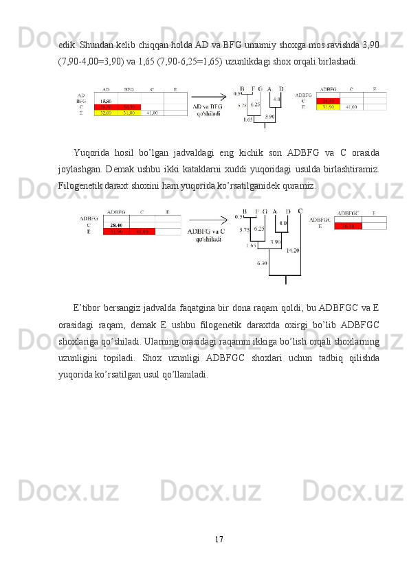 edik. Shundan kelib chiqqan holda AD va BFG umumiy shoxga mos ravishda 3,90
(7,90-4,00=3,90) va 1,65 (7,90-6,25=1,65) uzunlikdagi shox orqali birlashadi.
Yuqorida   hosil   bo’lgan   jadvaldagi   eng   kichik   son   ADBFG   va   C   orasida
joylashgan.   Demak   ushbu   ikki   kataklarni   xuddi   yuqoridagi   usulda   birlashtiramiz.
Filogenetik daraxt shoxini ham yuqorida ko’rsatilganidek quramiz.
E’tibor bersangiz jadvalda faqatgina bir dona raqam qoldi, bu ADBFGC va E
orasidagi   raqam,   demak   E   ushbu   filogenetik   daraxtda   oxirgi   bo’lib   ADBFGC
shoxlariga qo’shiladi. Ularning orasidagi raqamni ikkiga bo’lish orqali shoxlarning
uzunligini   topiladi.   Shox   uzunligi   ADBFGC   shoxlari   uchun   tadbiq   qilishda
yuqorida ko’rsatilgan usul qo’llaniladi.
17 
