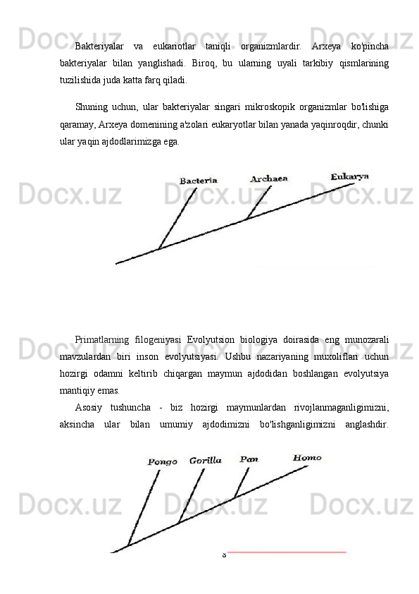 Bakteriyalar   va   eukariotlar   taniqli   organizmlardir.   Arxeya   ko'pincha
bakteriyalar   bilan   yanglishadi.   Biroq,   bu   ularning   uyali   tarkibiy   qismlarining
tuzilishida juda katta farq qiladi.
Shuning   uchun,   ular   bakteriyalar   singari   mikroskopik   organizmlar   bo'lishiga
qaramay, Arxeya domenining a'zolari eukaryotlar bilan yanada yaqinroqdir, chunki
ular yaqin ajdodlarimizga ega.
Primatlarning   filogeniyasi   Evolyutsion   biologiya   doirasida   eng   munozarali
mavzulardan   biri   inson   evolyutsiyasi.   Ushbu   nazariyaning   muxoliflari   uchun
hozirgi   odamni   keltirib   chiqargan   maymun   ajdodidan   boshlangan   evolyutsiya
mantiqiy emas.
Asosiy   tushuncha   -   biz   hozirgi   maymunlardan   rivojlanmaganligimizni,
aksincha   ular   bilan   umumiy   ajdodimizni   bo'lishganligimizni   anglashdir.
8 