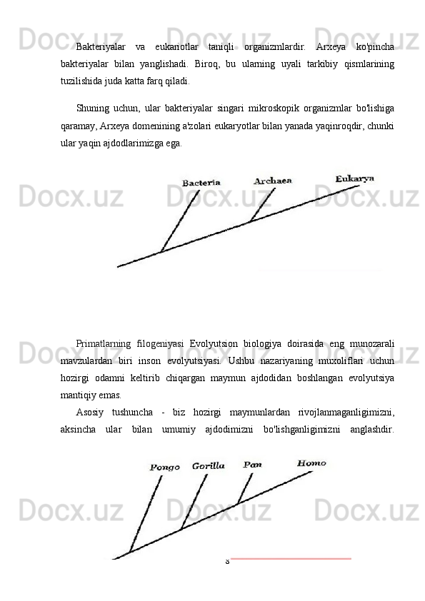 Bakteriyalar   va   eukariotlar   taniqli   organizmlardir.   Arxeya   ko'pincha
bakteriyalar   bilan   yanglishadi.   Biroq,   bu   ularning   uyali   tarkibiy   qismlarining
tuzilishida juda katta farq qiladi.
Shuning   uchun,   ular   bakteriyalar   singari   mikroskopik   organizmlar   bo'lishiga
qaramay, Arxeya domenining a'zolari eukaryotlar bilan yanada yaqinroqdir, chunki
ular yaqin ajdodlarimizga ega.
Primatlarning   filogeniyasi   Evolyutsion   biologiya   doirasida   eng   munozarali
mavzulardan   biri   inson   evolyutsiyasi.   Ushbu   nazariyaning   muxoliflari   uchun
hozirgi   odamni   keltirib   chiqargan   maymun   ajdodidan   boshlangan   evolyutsiya
mantiqiy emas.
Asosiy   tushuncha   -   biz   hozirgi   maymunlardan   rivojlanmaganligimizni,
aksincha   ular   bilan   umumiy   ajdodimizni   bo'lishganligimizni   anglashdir.
8