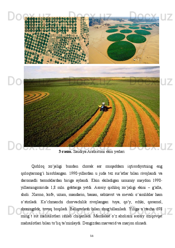 3-rasm.  Saudiya Arabistoni ekin yerlari
Qishloq   xo jaligi   bundan   chorak   asr   muqaddam   iqtisodiyotning   engʻ
qoloqtarmog i   hisoblangan.   1990-yillardan   u   juda   tez   sur atlar   bilan   rivojlandi   va	
ʻ ʼ
daromadli   tarmoklardan   biriga   aylandi.   Ekin   ekiladigan   umumiy   maydon   1990-
yillarningoxirida   1,8   mln.   gektarga   yetdi.   Asosiy   qishloq   xo jaligi   ekini   –   g alla,	
ʻ ʻ
sholi.   Xurmo,   kofe,   uzum,   mandarin,   banan,   sabzavot   va   mevali   o simliklar   ham	
ʻ
o stiriladi.   Ko chmanchi   chorvachilik   rivojlangan:   tuya,   qo y,   echki,   qoramol,	
ʻ ʻ ʻ
shuningdek,   tovuq   boqiladi.   Baliqovlash   bilan   shug ullaniladi.   Yiliga   o rtacha   698	
ʻ ʻ
ming   t   sut   mahsulotlari   ishlab   chiqariladi.   Mamlakat   o z   aholisini   asosiy   oziqovqat	
ʻ
mahsulotlari bilan to liq ta minlaydi. Dengizdan marvarid va marjon olinadi. 	
ʻ ʼ
16 