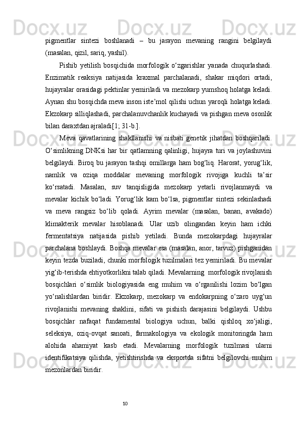 10pigmentlar   sintezi   boshlanadi   –   bu   jarayon   mevaning   rangini   belgilaydi
(masalan, qizil, sariq, yashil).
Pishib   yetilish   bosqichida   morfologik   o‘zgarishlar   yanada   chuqurlashadi.
Enzimatik   reaksiya   natijasida   kraxmal   parchalanadi,   shakar   miqdori   ortadi,
hujayralar orasidagi pektinlar yemiriladi va mezokarp yumshoq holatga keladi.
Aynan shu bosqichda meva inson iste’mol qilishi uchun yaroqli holatga keladi.
Ekzokarp silliqlashadi, parchalanuvchanlik kuchayadi va pishgan meva osonlik
bilan daraxtdan ajraladi [1; 31-b.].
Meva   qavatlarining   shakllanishi   va   nisbati   genetik   jihatdan   boshqariladi.
O‘simlikning   DNKsi  har   bir  qatlamning  qalinligi,  hujayra  turi  va   joylashuvini
belgilaydi.  Biroq   bu  jarayon   tashqi   omillarga   ham   bog‘liq.  Harorat,  yorug‘lik,
namlik   va   oziqa   moddalar   mevaning   morfologik   rivojiga   kuchli   ta’sir
ko‘rsatadi.   Masalan,   suv   tanqisligida   mezokarp   yetarli   rivojlanmaydi   va
mevalar   kichik   bo‘ladi.   Yorug‘lik   kam   bo‘lsa,   pigmentlar   sintezi   sekinlashadi
va   meva   rangsiz   bo‘lib   qoladi.   Ayrim   mevalar   (masalan,   banan,   avakado)
klimakterik   mevalar   hisoblanadi.   Ular   uzib   olingandan   keyin   ham   ichki
fermentatsiya   natijasida   pishib   yetiladi.   Bunda   mezokarpdagi   hujayralar
parchalana boshlaydi. Boshqa mevalar esa (masalan, anor, tarvuz) pishganidan
keyin tezda buziladi, chunki morfologik tuzilmalari tez yemiriladi. Bu mevalar
yig‘ib-terishda ehtiyotkorlikni talab qiladi. Mevalarning  morfologik rivojlanish
bosqichlari   o‘simlik   biologiyasida   eng   muhim   va   o‘rganilishi   lozim   bo‘lgan
yo‘nalishlardan   biridir.   Ekzokarp,   mezokarp   va   endokarpning   o‘zaro   uyg‘un
rivojlanishi   mevaning   shaklini,   sifati   va   pishish   darajasini   belgilaydi.   Ushbu
bosqichlar   nafaqat   fundamental   biologiya   uchun,   balki   qishloq   xo‘jaligi,
seleksiya,   oziq-ovqat   sanoati,   farmakologiya   va   ekologik   monitoringda   ham
alohida   ahamiyat   kasb   etadi.   Mevalarning   morfologik   tuzilmasi   ularni
identifikatsiya   qilishda,   yetishtirishda   va   eksportda   sifatni   belgilovchi   muhim
mezonlardan biridir. 