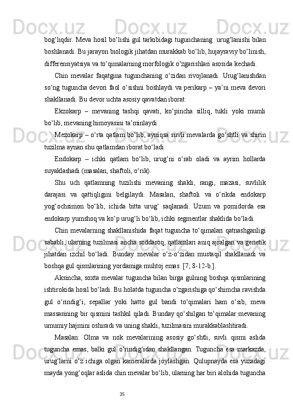35bog‘liqdir. Meva hosil bo‘lishi gul tarkibidagi tugunchaning  urug‘lanishi bilan
boshlanadi. Bu jarayon biologik jihatdan murakkab bo‘lib, hujayraviy bo‘linish,
differensiyatsiya va to‘qimalarning morfologik o‘zgarishlari asosida kechadi.
Chin   mevalar   faqatgina   tugunchaning   o‘zidan   rivojlanadi.   Urug‘lanishdan
so‘ng tuguncha devori faol o‘sishni boshlaydi va perikarp – ya’ni meva devori
shakllanadi. Bu devor uchta asosiy qavatdan iborat:
Ekzokarp   –   mevaning   tashqi   qavati,   ko‘pincha   silliq,   tukli   yoki   mumli
bo‘lib, mevaning himoyasini ta’minlaydi.
Mezokarp – o‘rta qatlam bo‘lib, ayniqsa suvli mevalarda go‘shtli va shirin
tuzilma aynan shu qatlamdan iborat bo‘ladi.
Endokarp   –   ichki   qatlam   bo‘lib,   urug‘ni   o‘rab   oladi   va   ayrim   hollarda
suyaklashadi (masalan, shaftoli, o‘rik).
Shu   uch   qatlamning   tuzilishi   mevaning   shakli,   rangi,   mazasi,   suvlilik
darajasi   va   qattiqligini   belgilaydi.   Masalan,   shaftoli   va   o‘rikda   endokarp
yog‘ochsimon   bo‘lib,   ichida   bitta   urug‘   saqlanadi.   Uzum   va   pomidorda   esa
endokarp yumshoq va ko‘p urug‘li bo‘lib, ichki segmentlar shaklida bo‘ladi.
Chin mevalarning shakllanishida faqat tuguncha to‘qimalari qatnashganligi
sababli, ularning tuzilmasi ancha soddaroq, qatlamlari aniq ajralgan va genetik
jihatdan   izchil   bo‘ladi.   Bunday   mevalar   o‘z-o‘zidan   mustaqil   shakllanadi   va
boshqa gul qismlarining yordamiga muhtoj emas   [7; 8-12-b.].
Aksincha, soxta mevalar tuguncha bilan birga gulning boshqa qismlarining
ishtirokida hosil bo‘ladi. Bu holatda tuguncha o‘zgarishiga qo‘shimcha ravishda
gul   o‘rindig‘i,   sepallar   yoki   hatto   gul   bandi   to‘qimalari   ham   o‘sib,   meva
massasining bir qismini tashkil qiladi. Bunday qo‘shilgan to‘qimalar mevaning
umumiy hajmini oshiradi va uning shakli, tuzilmasini murakkablashtiradi.
Masalan:   Olma   va   nok   mevalarining   asosiy   go‘shtli,   suvli   qismi   aslida
tuguncha   emas,   balki   gul   o‘rindig‘idan   shakllangan.   Tuguncha   esa   markazda,
urug‘larni   o‘z  ichiga   olgan   kameralarda   joylashgan.   Qulupnayda   esa   yuzadagi
mayda yong‘oqlar aslida chin mevalar bo‘lib, ularning har biri alohida tuguncha 