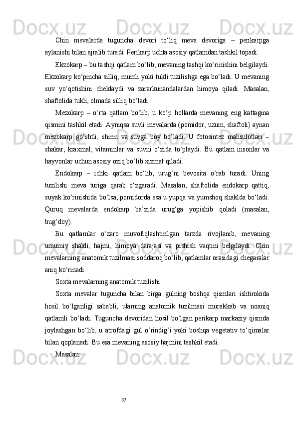 37Chin   mevalarda   tuguncha   devori   to‘liq   meva   devoriga   –   perikarpga
aylanishi bilan ajralib turadi. Perikarp uchta asosiy qatlamdan tashkil topadi:
Ekzokarp – bu tashqi qatlam bo‘lib, mevaning tashqi ko‘rinishini belgilaydi.
Ekzokarp ko‘pincha silliq, mumli yoki tukli tuzilishga ega bo‘ladi. U mevaning
suv   yo‘qotishini   cheklaydi   va   zararkunandalardan   himoya   qiladi.   Masalan,
shaftolida tukli, olmada silliq bo‘ladi.
Mezokarp   –   o‘rta   qatlam   bo‘lib,   u   ko‘p   hollarda   mevaning   eng   kattagina
qismini tashkil etadi. Ayniqsa suvli mevalarda (pomidor, uzum, shaftoli) aynan
mezokarp   go‘shtli,   shirin   va   suvga   boy   bo‘ladi.   U   fotosintez   mahsulotlari   –
shakar,   kraxmal,   vitaminlar   va   suvni   o‘zida   to‘playdi.   Bu   qatlam   insonlar   va
hayvonlar uchun asosiy oziq bo‘lib xizmat qiladi.
Endokarp   –   ichki   qatlam   bo‘lib,   urug‘ni   bevosita   o‘rab   turadi.   Uning
tuzilishi   meva   turiga   qarab   o‘zgaradi.   Masalan,   shaftolida   endokarp   qattiq,
suyak ko‘rinishida bo‘lsa, pomidorda esa u yupqa va yumshoq shaklda bo‘ladi.
Quruq   mevalarda   endokarp   ba’zida   urug‘ga   yopishib   qoladi   (masalan,
bug‘doy).
Bu   qatlamlar   o‘zaro   muvofiqlashtirilgan   tarzda   rivojlanib,   mevaning
umumiy   shakli,   hajmi,   himoya   darajasi   va   pishish   vaqtini   belgilaydi.   Chin
mevalarning anatomik tuzilmasi soddaroq bo‘lib, qatlamlar orasidagi chegaralar
aniq ko‘rinadi.
Soxta mevalarning anatomik tuzilishi
Soxta   mevalar   tuguncha   bilan   birga   gulning   boshqa   qismlari   ishtirokida
hosil   bo‘lganligi   sababli,   ularning   anatomik   tuzilmasi   murakkab   va   noaniq
qatlamli  bo‘ladi. Tuguncha  devoridan  hosil   bo‘lgan  perikarp  markaziy qismda
joylashgan   bo‘lib,   u   atrofdagi   gul   o‘rindig‘i   yoki   boshqa   vegetativ   to‘qimalar
bilan qoplanadi. Bu esa mevaning asosiy hajmini tashkil etadi.
Masalan: 