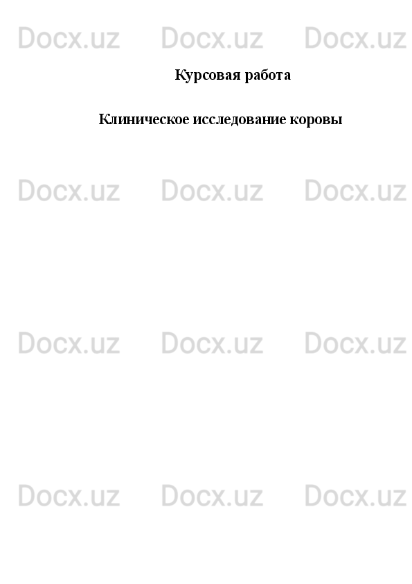 Курсовая работа
Клиническое исследование коровы  