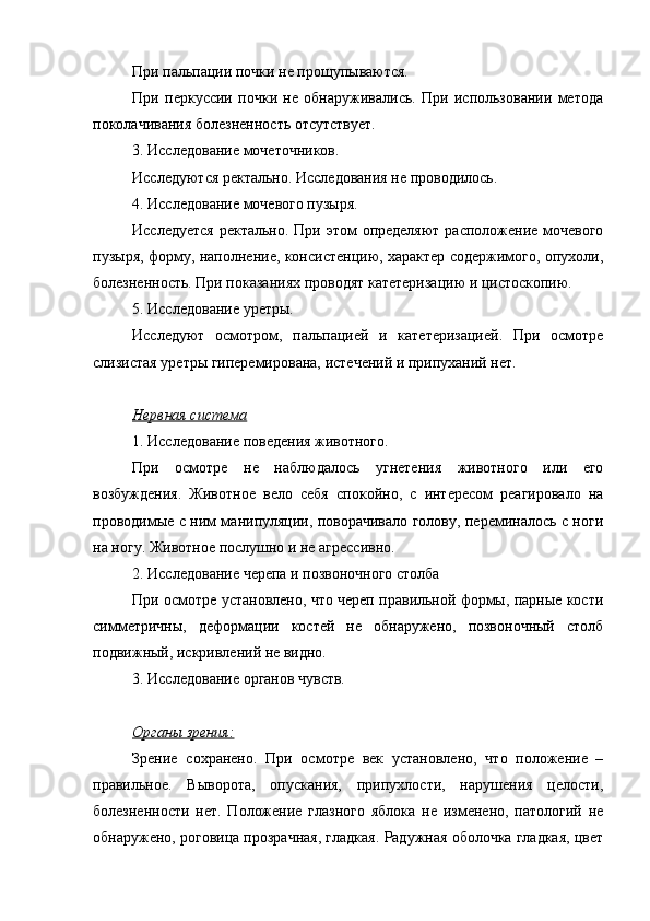 При пальпации почки не прощупываются. 
При   перкуссии   почки   не   обнаруживались.   При   использовании   метода
поколачивания болезненность отсутствует.
3. Исследование мочеточников.
Исследуются ректально. Исследования не проводилось.
4. Исследование мочевого пузыря. 
Исследуется  ректально. При этом определяют расположение мочевого
пузыря, форму, наполнение, консистенцию, характер содержимого, опухоли,
болезненность. При показаниях проводят катетеризацию и цистоскопию.
5. Исследование уретры.
Исследуют   осмотром,   пальпацией   и   катетеризацией.   При   осмотре
слизистая уретры гиперемирована, истечений и припуханий нет.
Нервная система
1. Исследование поведения животного. 
При   осмотре   не   наблюдалось   угнетения   животного   или   его
возбуждения.   Животное   вело   себя   спокойно,   с   интересом   реагировало   на
проводимые с ним манипуляции, поворачивало голову, переминалось с ноги
на ногу. Животное послушно и не агрессивно.
2. Исследование черепа и позвоночного столба 
При осмотре установлено, что череп правильной формы, парные кости
симметричны,   деформации   костей   не   обнаружено,   позвоночный   столб
подвижный, искривлений не видно. 
3. Исследование органов чувств. 
Органы зрения:
Зрение   сохранено.   При   осмотре   век   установлено,   что   положение   –
правильное.   Выворота,   опускания,   припухлости,   нарушения   целости,
болезненности   нет.   Положение   глазного   яблока   не   изменено,   патологий   не
обнаружено, роговица прозрачная, гладкая. Радужная оболочка гладкая, цвет 