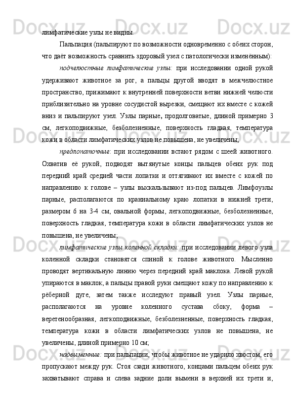 лимфатические узлы не видны. 
Пальпация (пальпируют по возможности одновременно с обеих сторон,
что даёт возможность сравнить здоровый узел с патологически изменённым):
подчелюстные   лимфатические   узлы:   при   исследовании   одной   рукой
удерживают   животное   за   рог,   а   пальцы   другой   вводят   в   межчелюстное
пространство, прижимают к внутренней поверхности ветви нижней челюсти
приблизительно на уровне сосудистой вырезки, смещают их вместе с кожей
вниз   и   пальпируют   узел.   Узлы   парные ,   продолговатые,   длиной   примерно   3
см,   легкоподвижные,   безболезненные,   поверхность   гладкая,   температура
кожи в области лимфатических узлов не повышена, не увеличены; 
предлопаточные :   при   исследовании   встают   рядом   с   шеей   животного.
Охватив   её   рукой,   подводят   вытянутые   концы   пальцев   обеих   рук   под
передний   край   средней   части   лопатки   и   оттягивают   их   вместе   с   кожей   по
направлению   к   голове   –   узлы   выскальзывают   из-под   пальцев.   Лимфоузлы
парные,   располагаются   по   краниальному   краю   лопатки   в   нижней   трети,
размером   6   на   3-4   см,   овальной   формы,   легкоподвижные,   безболезненные,
поверхность   гладкая,   температура   кожи   в   области   лимфатических   узлов   не
повышена, не увеличены; 
лимфатические   узлы  коленной  складки:   при  исследовании  левого  узла
коленной   складки   становятся   спиной   к   голове   животного.   Мысленно
проводят   вертикальную   линию   через   передний   край   маклока.   Левой   рукой
упираются в маклок, а пальцы правой руки смещают кожу по направлению к
рёберной   дуге,   затем   также   исследуют   правый   узел.   Узлы   парные,
располагаются   на   уровне   коленного   сустава   сбоку,   форма   –
веретенообразная,   легкоподвижные,   безболезненные,   поверхность   гладкая,
температура   кожи   в   области   лимфатических   узлов   не   повышена,   не
увеличены, длиной примерно 10 см; 
надвыменные:  при пальпации, чтобы животное не ударило хвостом, его
пропускают   между   рук.   Стоя   сзади   животного,   концами   пальцем   обеих   рук
захватывают   справа   и   слева   задние   доли   вымени   в   верхней   их   трети   и, 